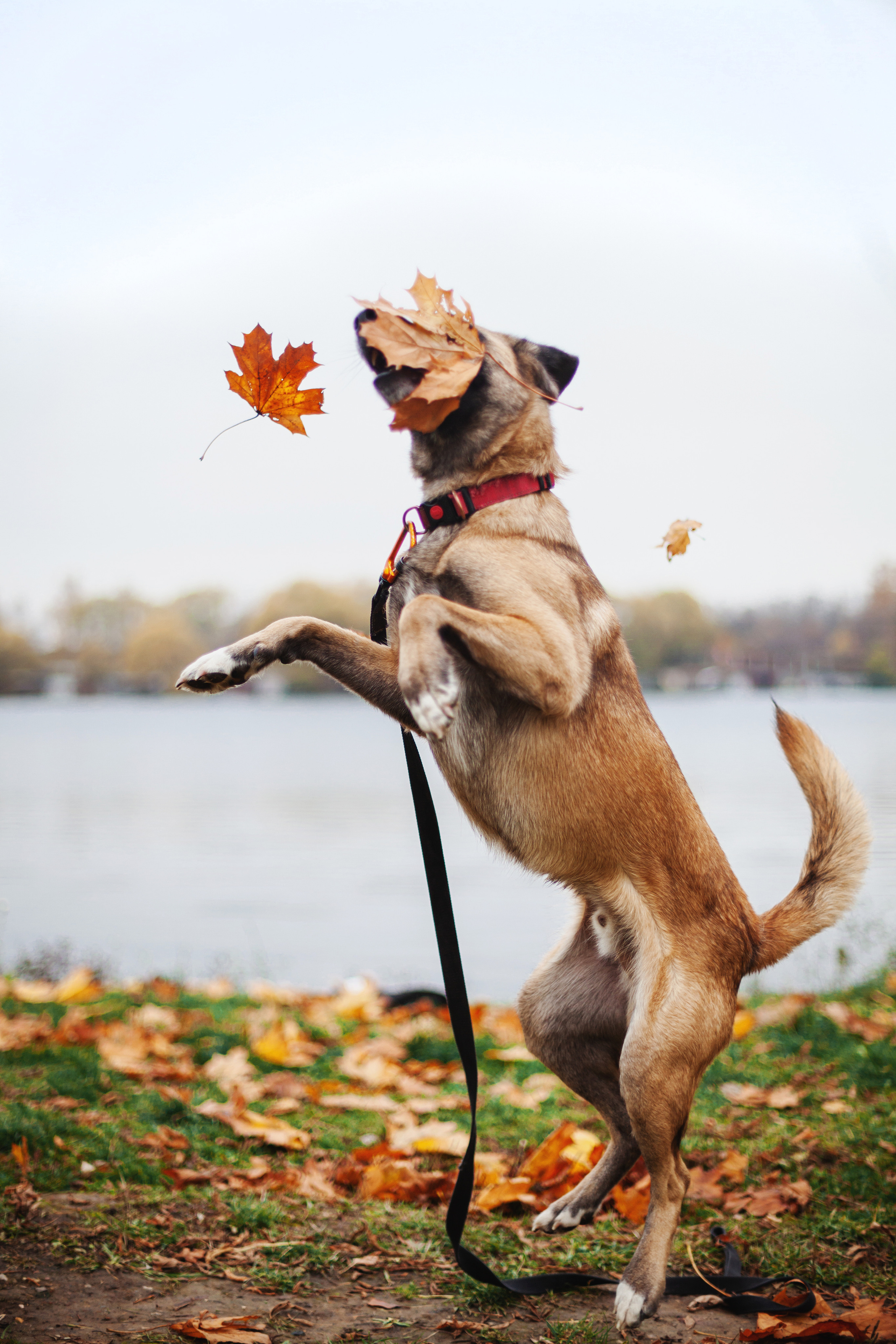 Фучик 2022. Фотограф-анималист Татьяна Степанова