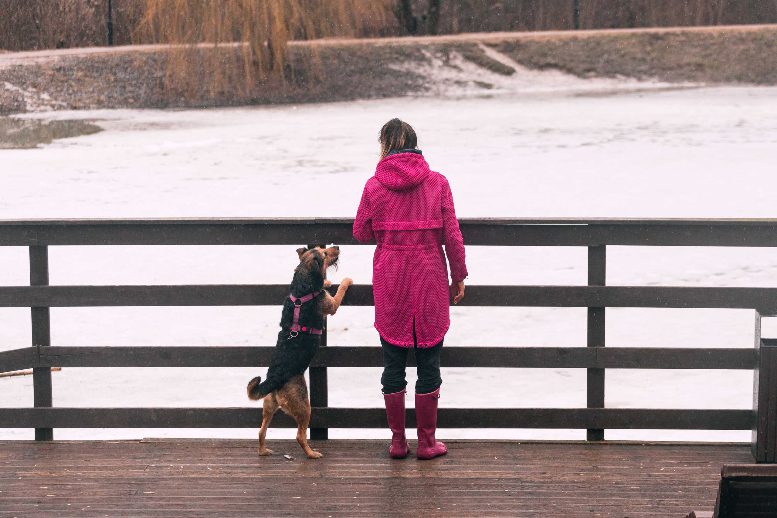 Лиза и Бренда. Фотограф-анималист Татьяна Степанова