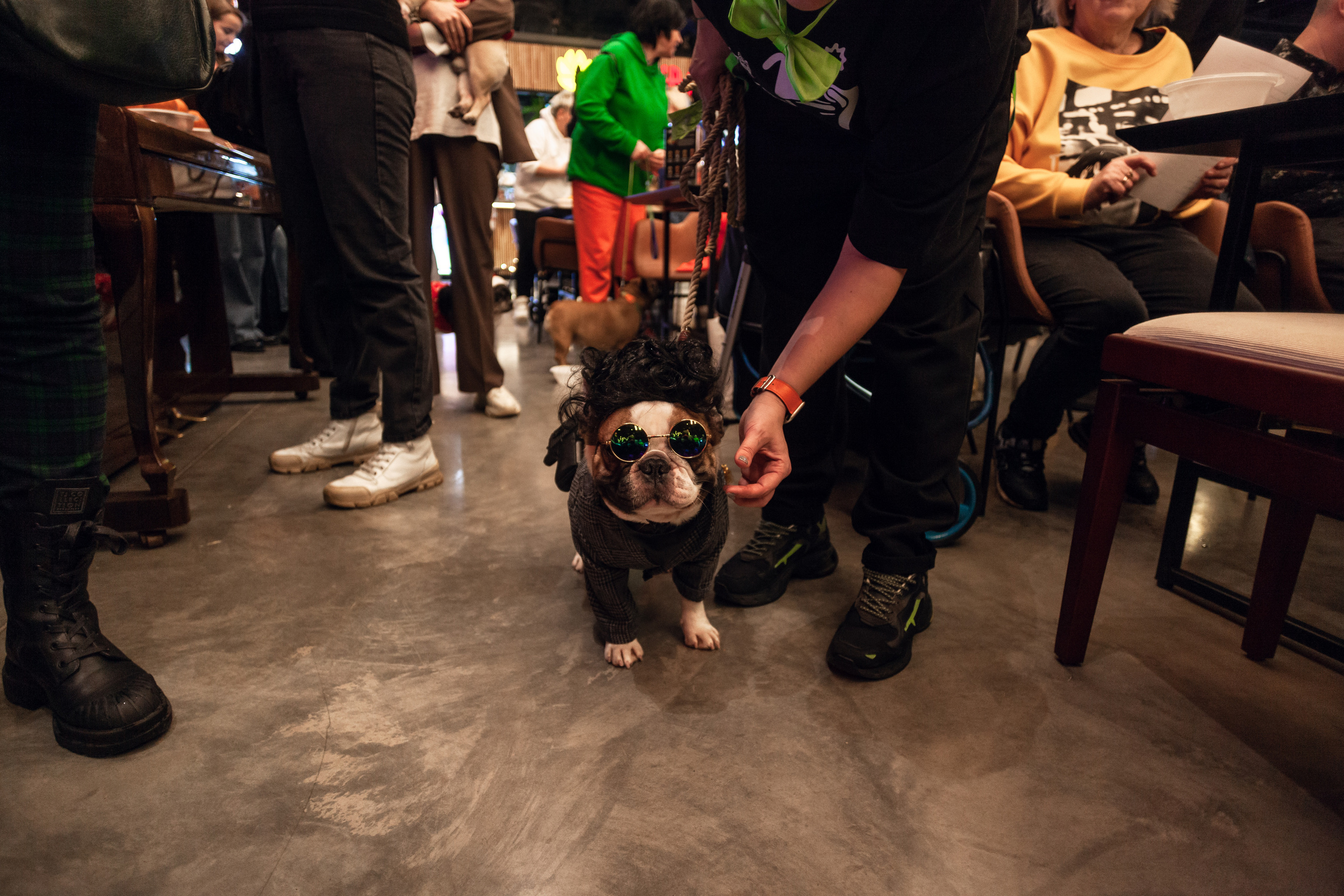 Бульелка 2022. Фотограф-анималист Татьяна Степанова