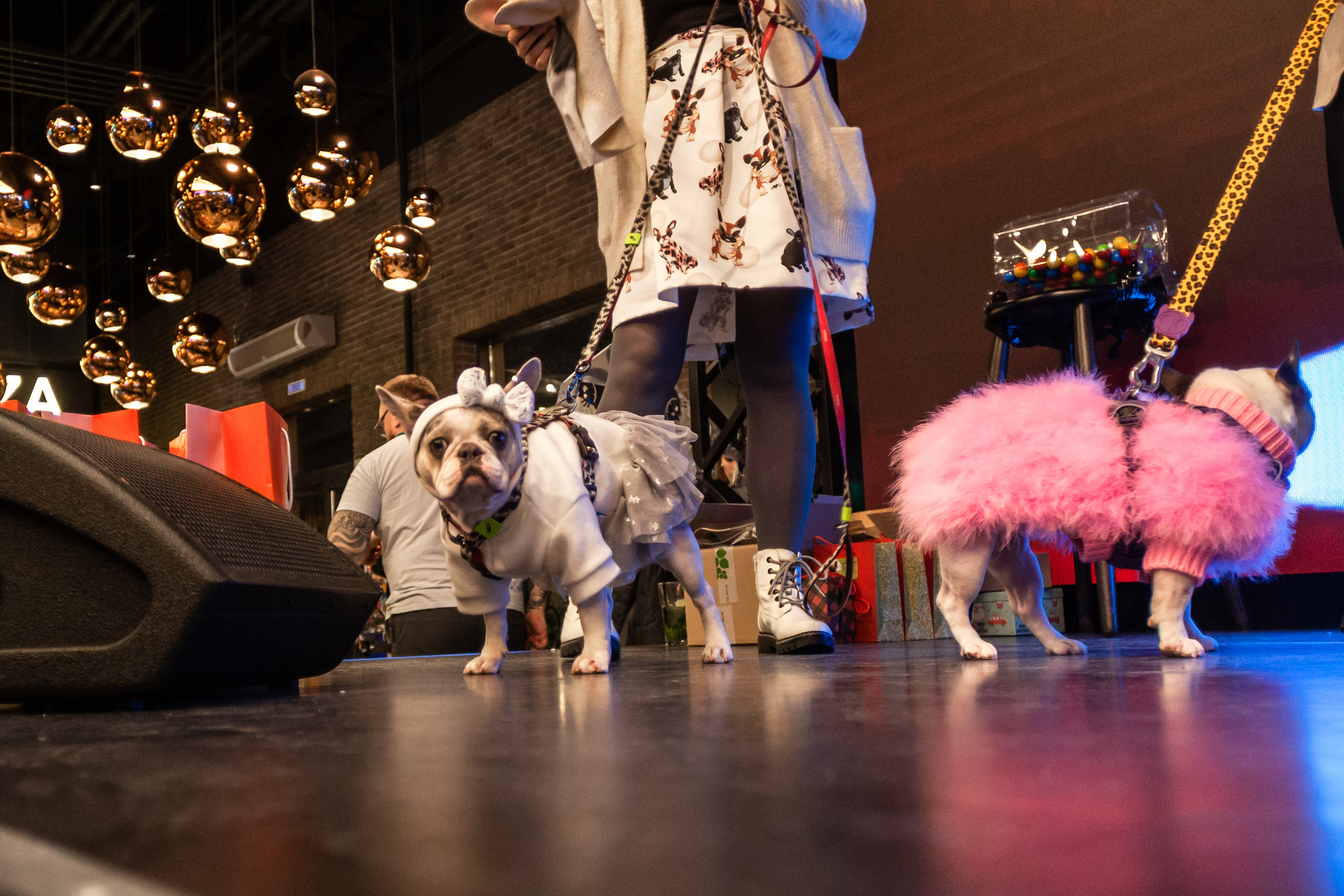 Бульелка 2022. Фотограф-анималист Татьяна Степанова