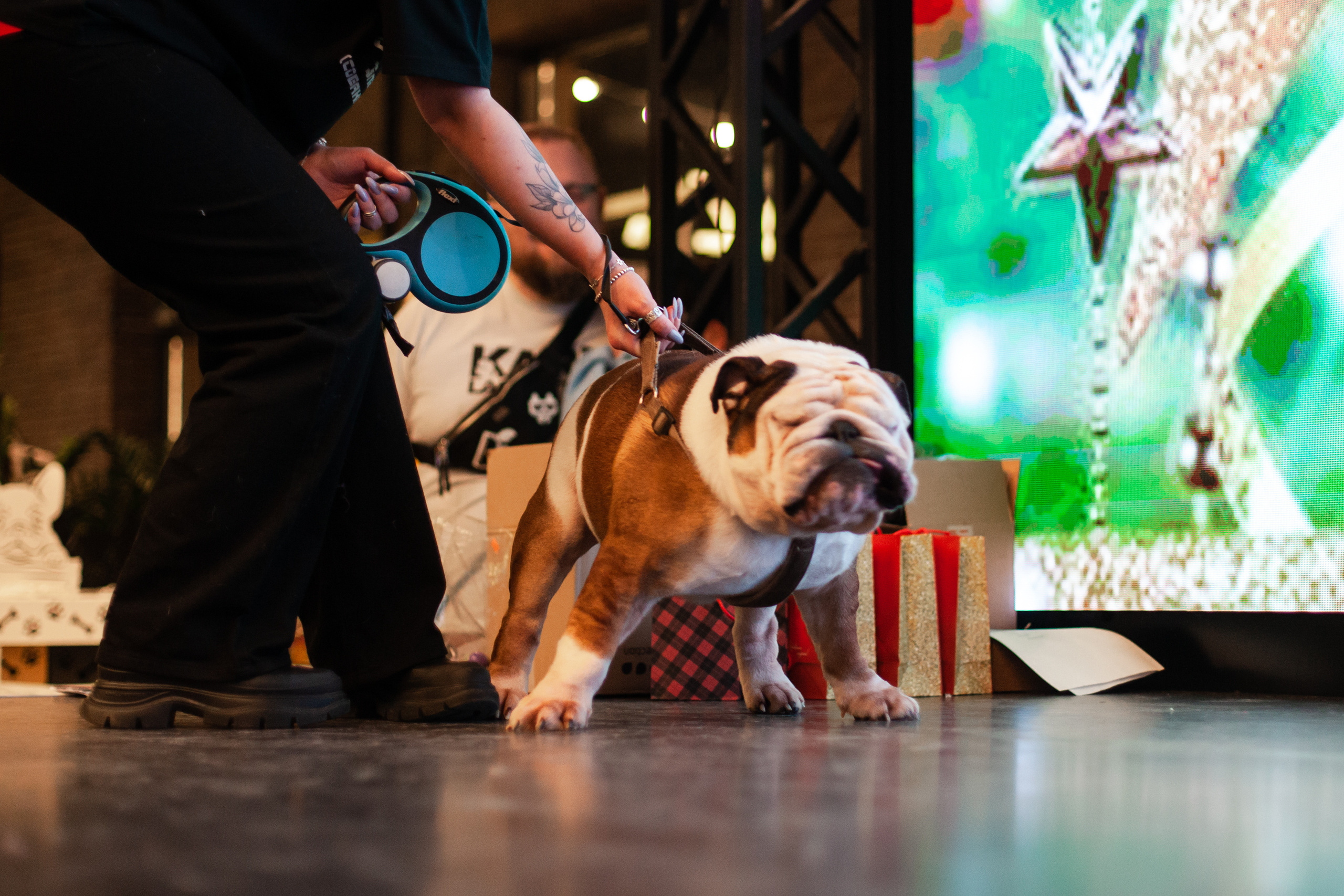 Бульелка 2022. Фотограф-анималист Татьяна Степанова