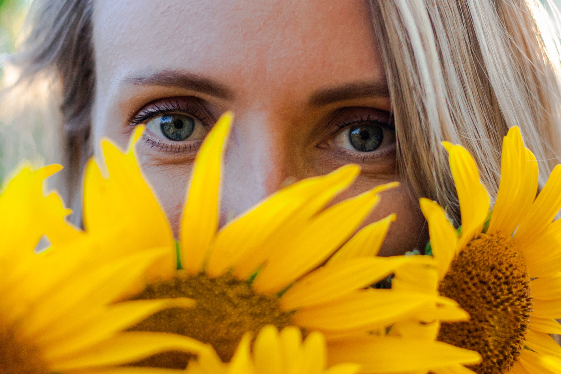 Коломна, стога и подсолнухи. Фотограф-анималист Татьяна Степанова
