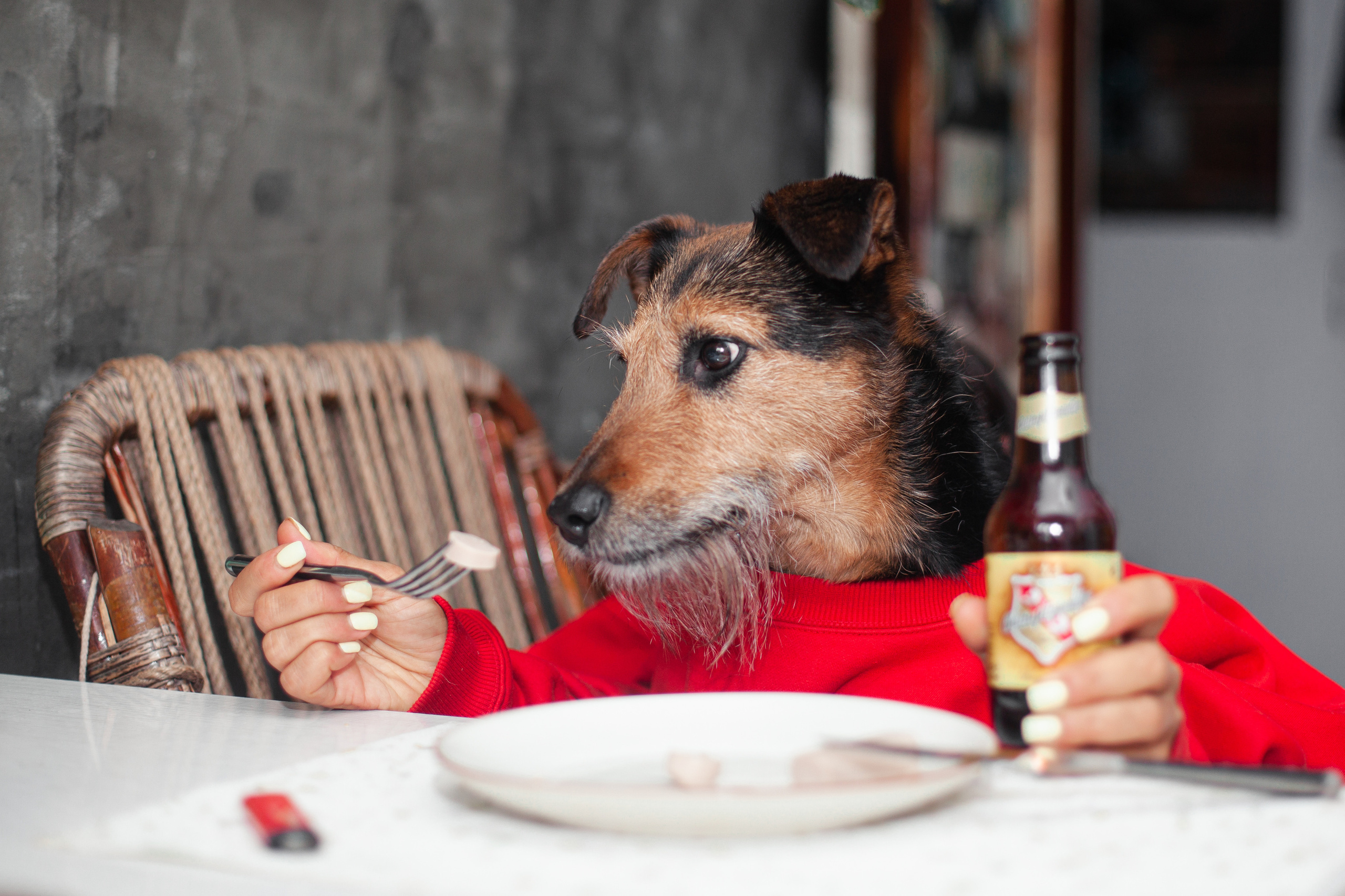 Лиза и Бренда. Фотограф-анималист Татьяна Степанова