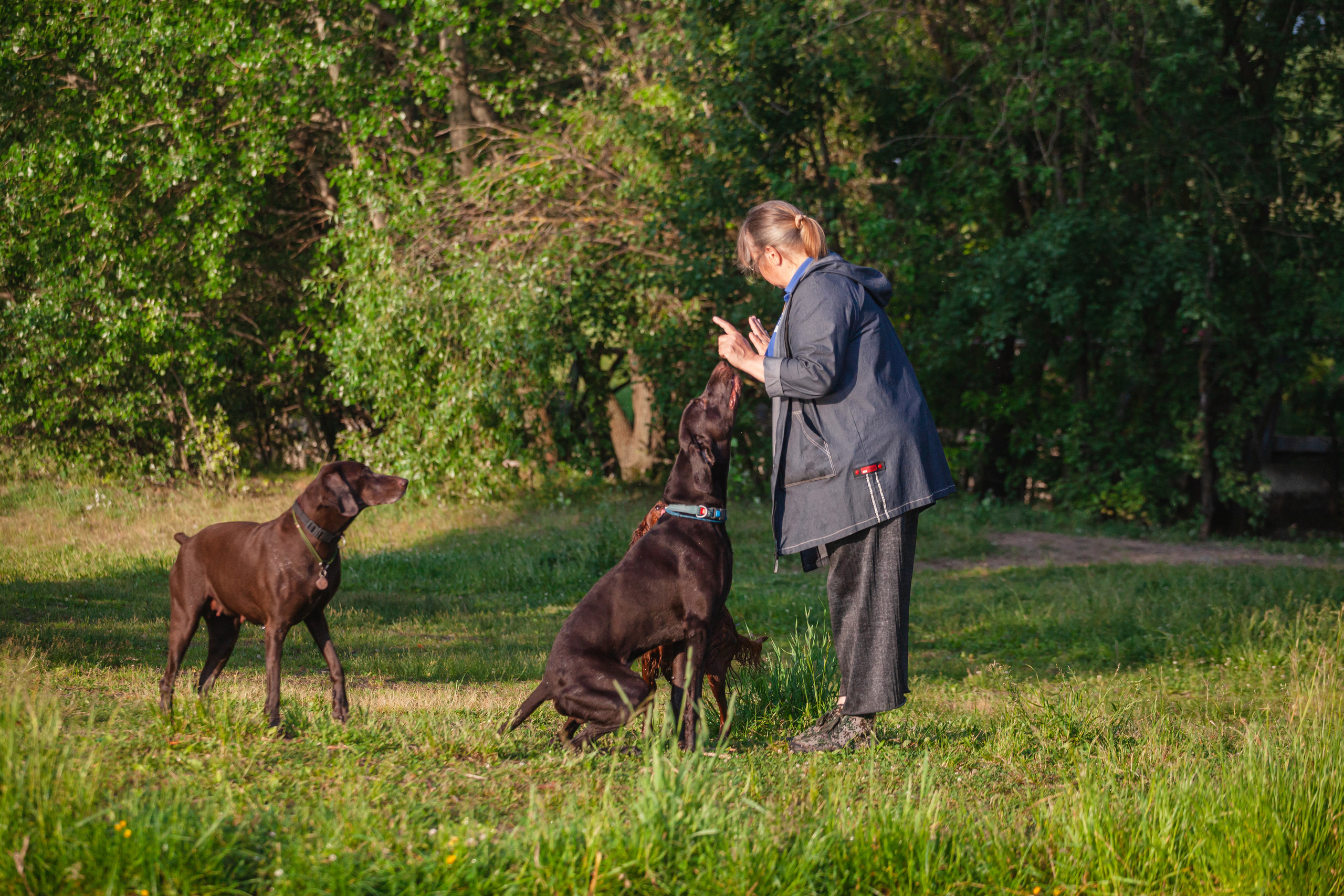 Рассветная съемка в ПКИО Северное Тушино. Фотограф-анималист Татьяна Степанова