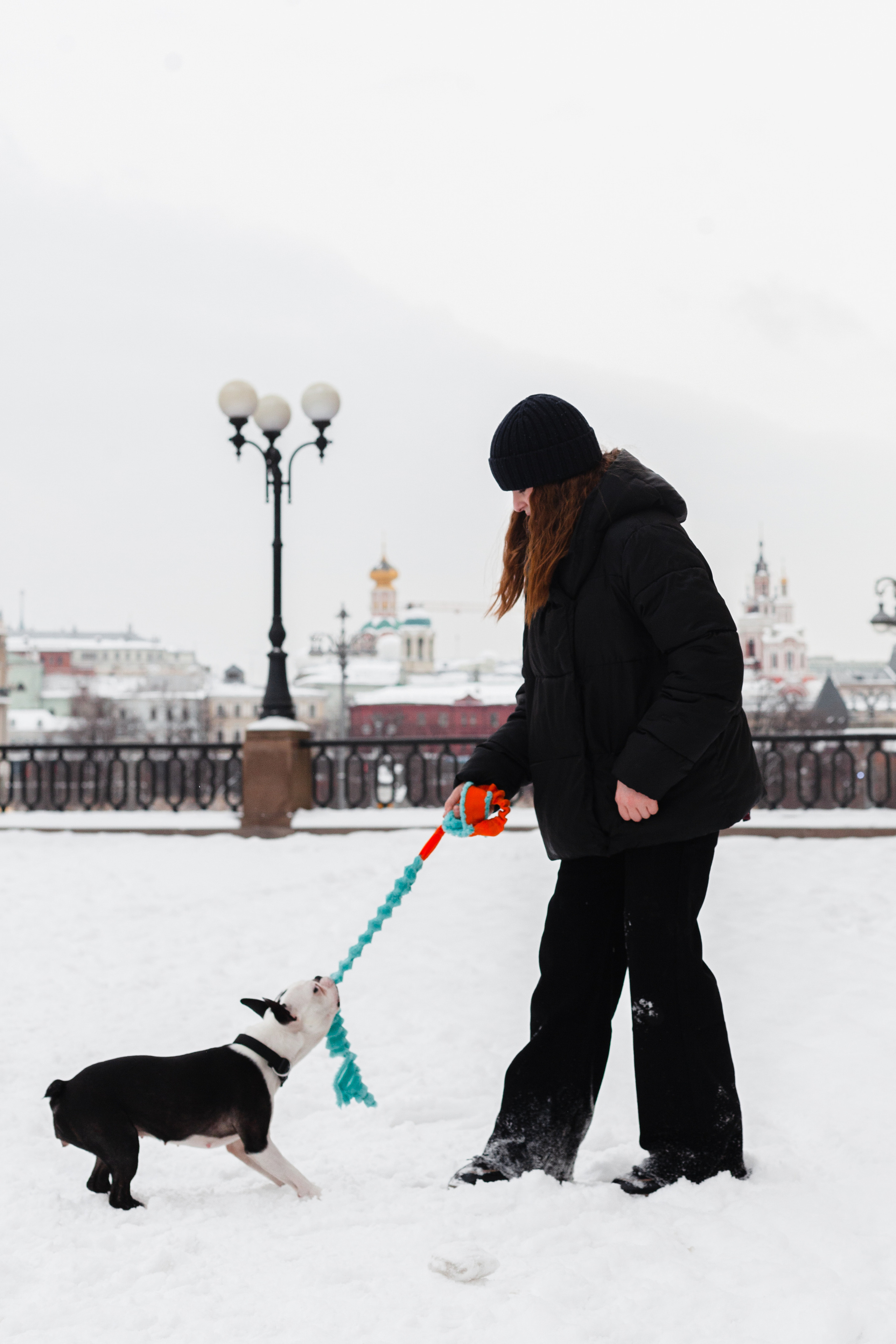 Василиса и Мира Кузнецкий мост. Фотограф-анималист Татьяна Степанова