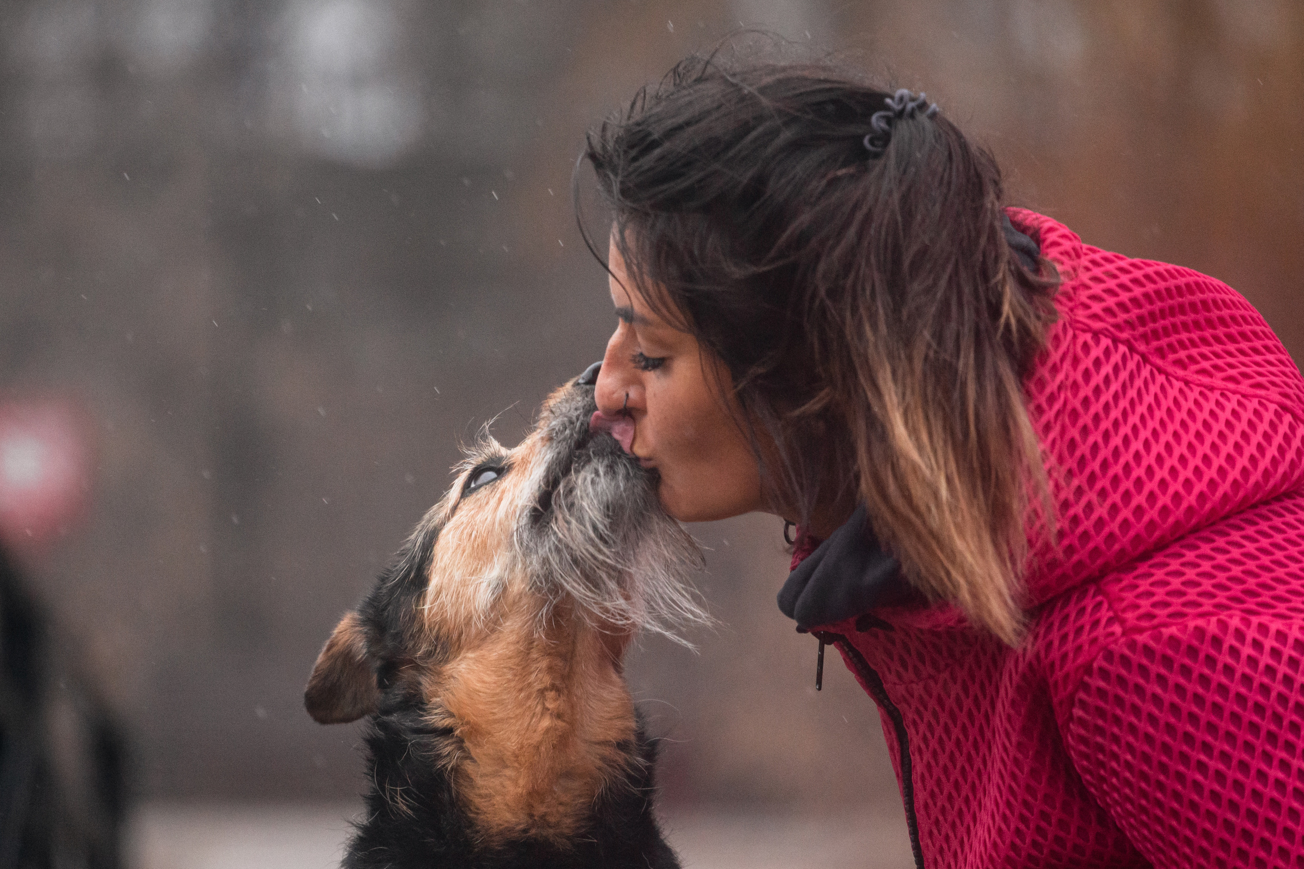 Лиза и Бренда. Фотограф-анималист Татьяна Степанова