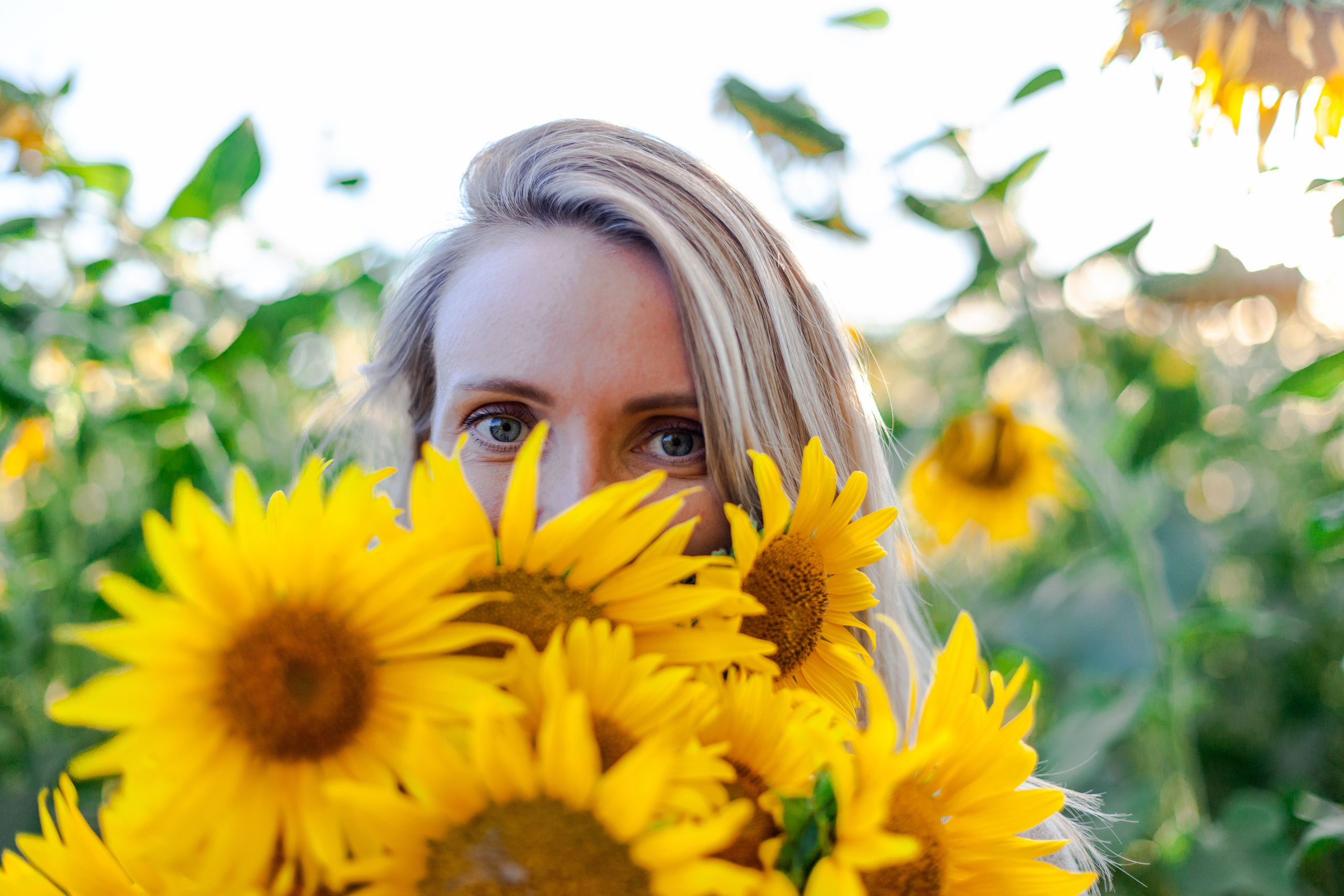 Коломна, стога и подсолнухи. Фотограф-анималист Татьяна Степанова
