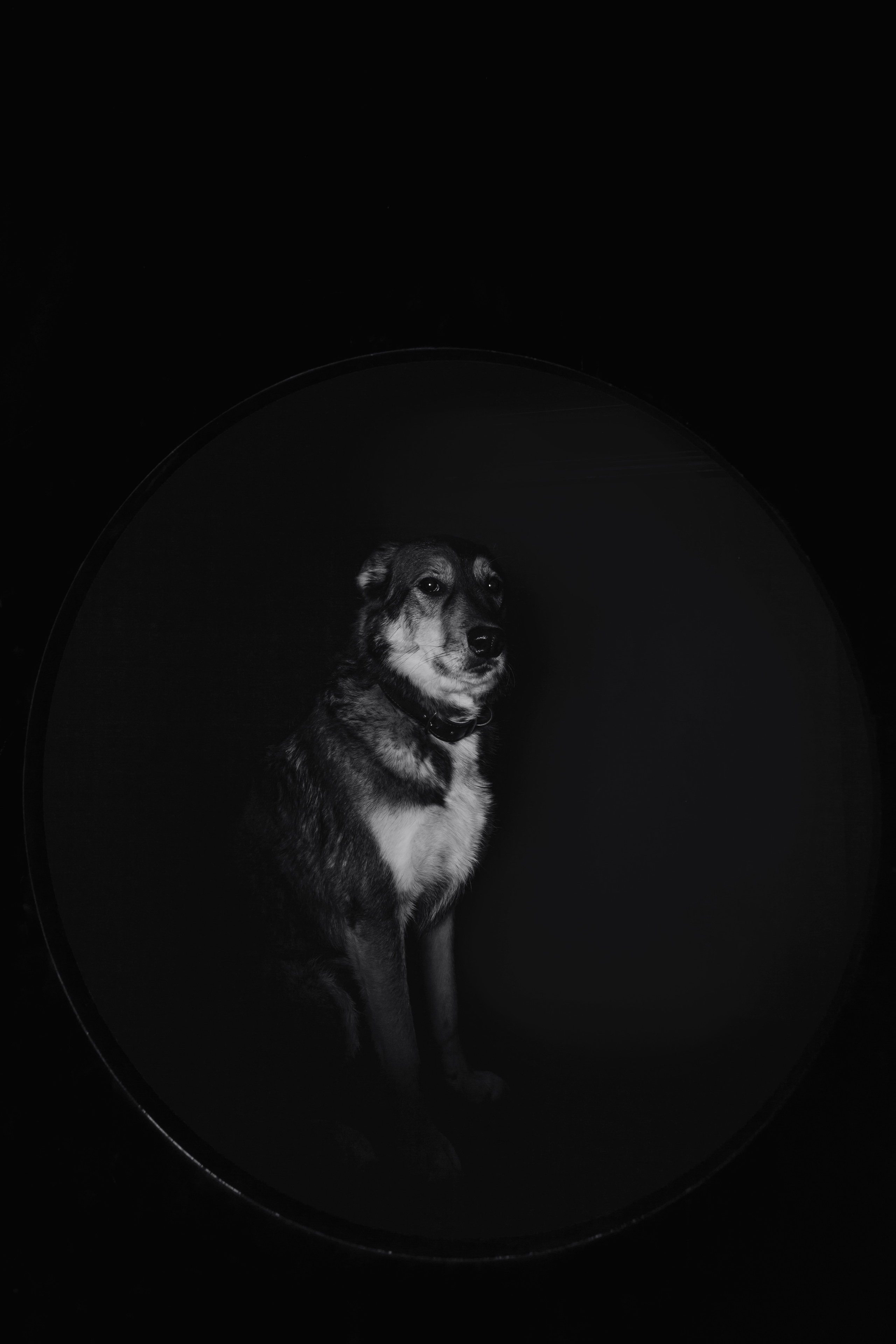 Света и Богдана. Фотограф-анималист Татьяна Степанова