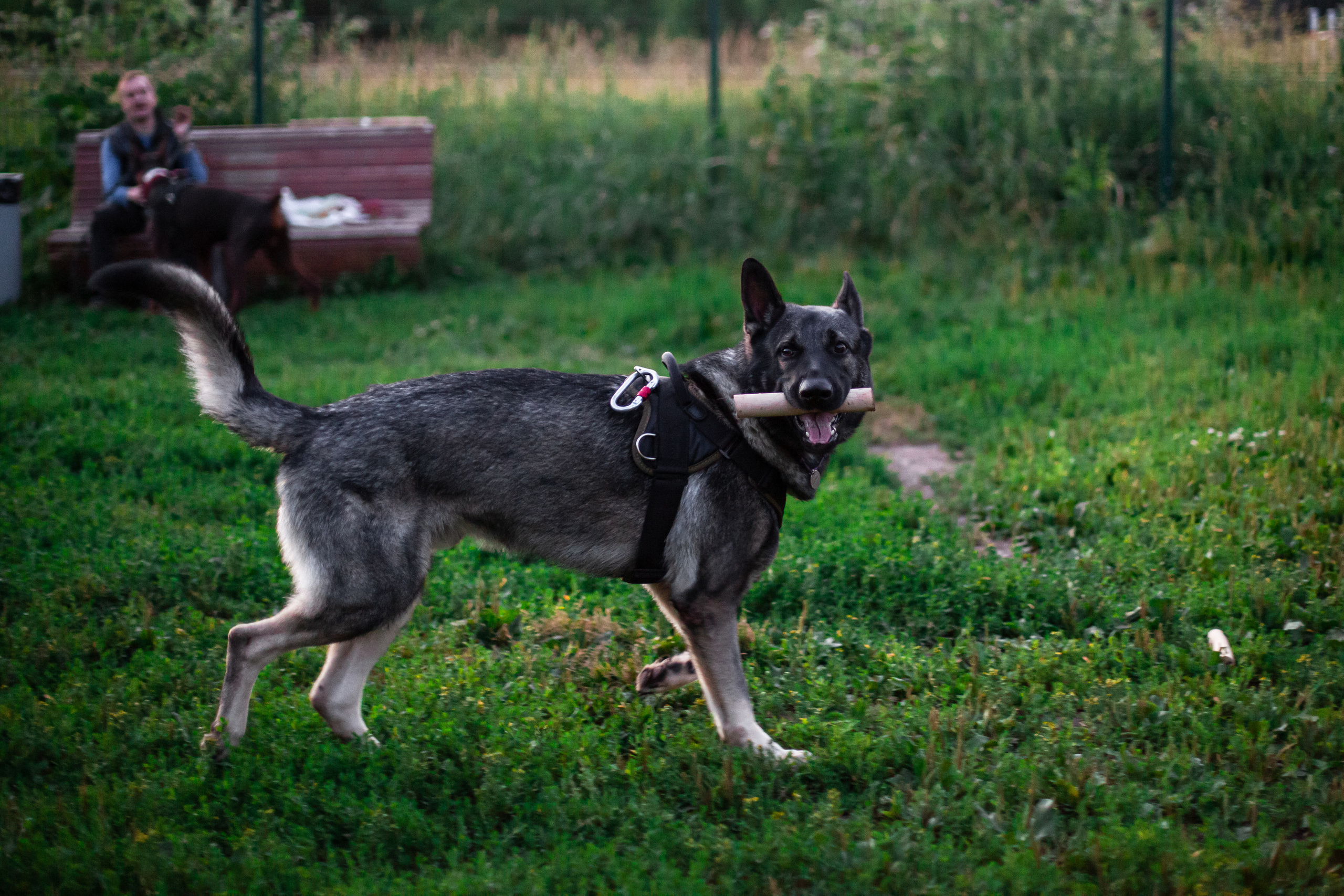 Занятие ЗКС+Выборка 2022. Фотограф-анималист Татьяна Степанова