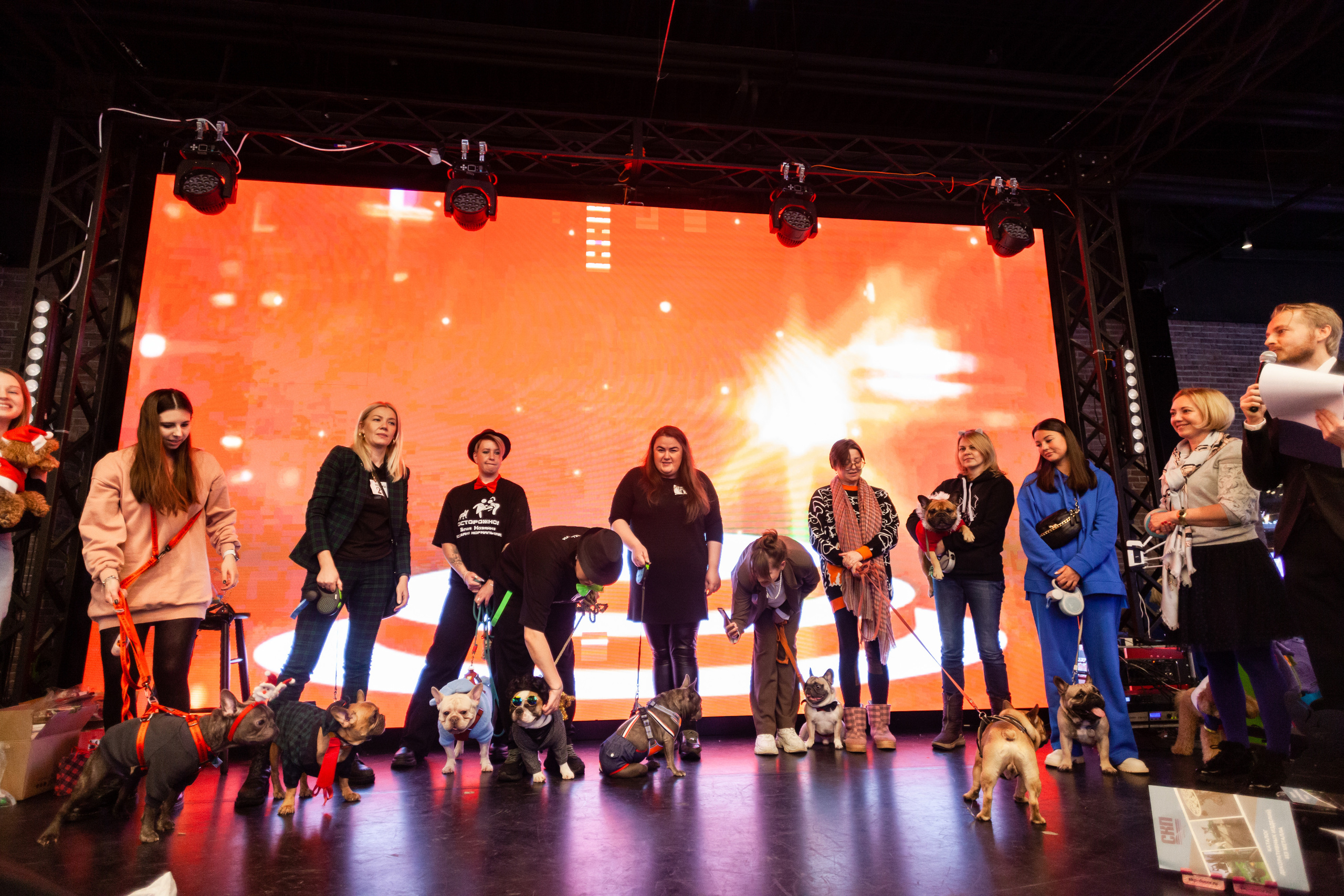 Бульелка 2022. Фотограф-анималист Татьяна Степанова