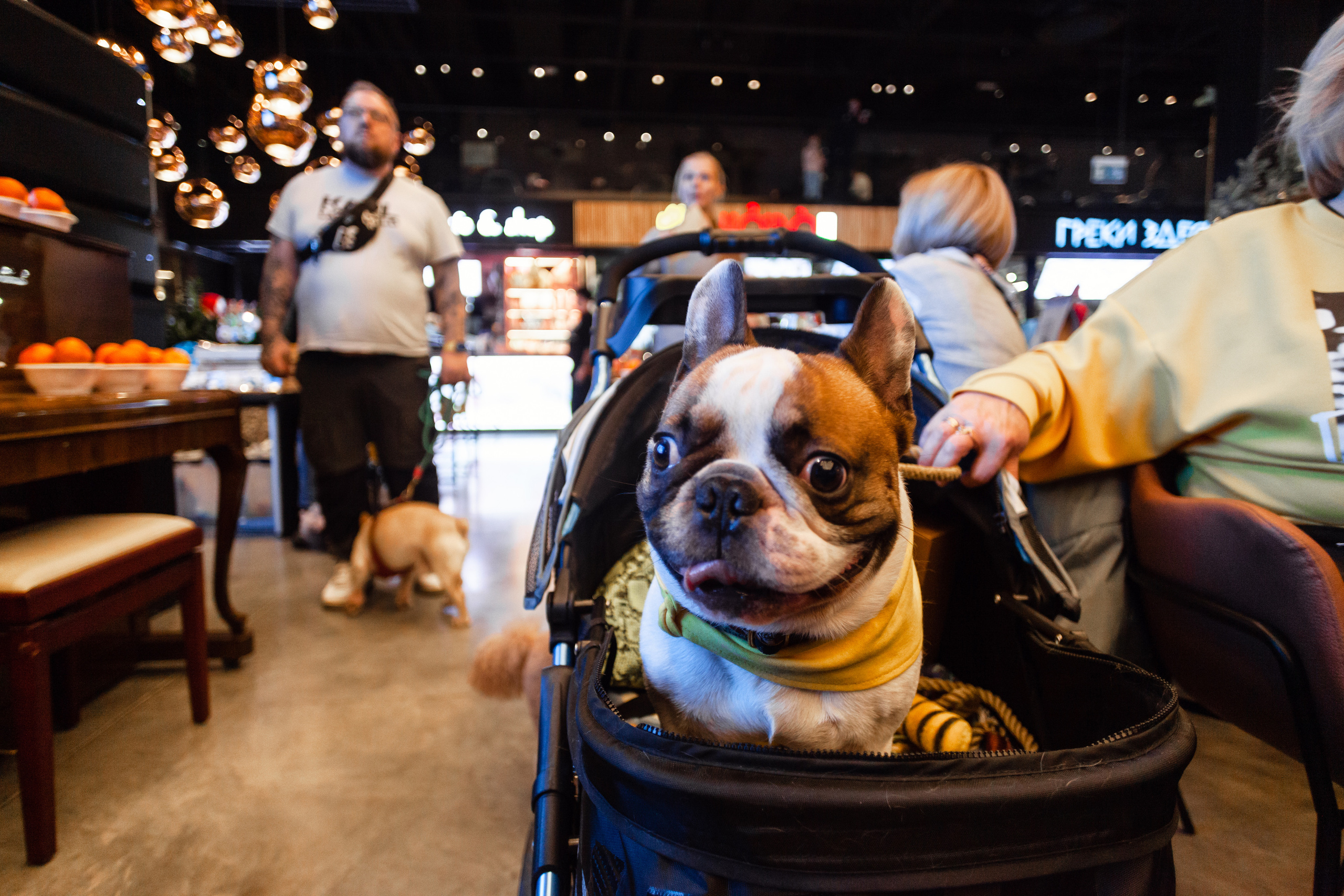 Бульелка 2022. Фотограф-анималист Татьяна Степанова