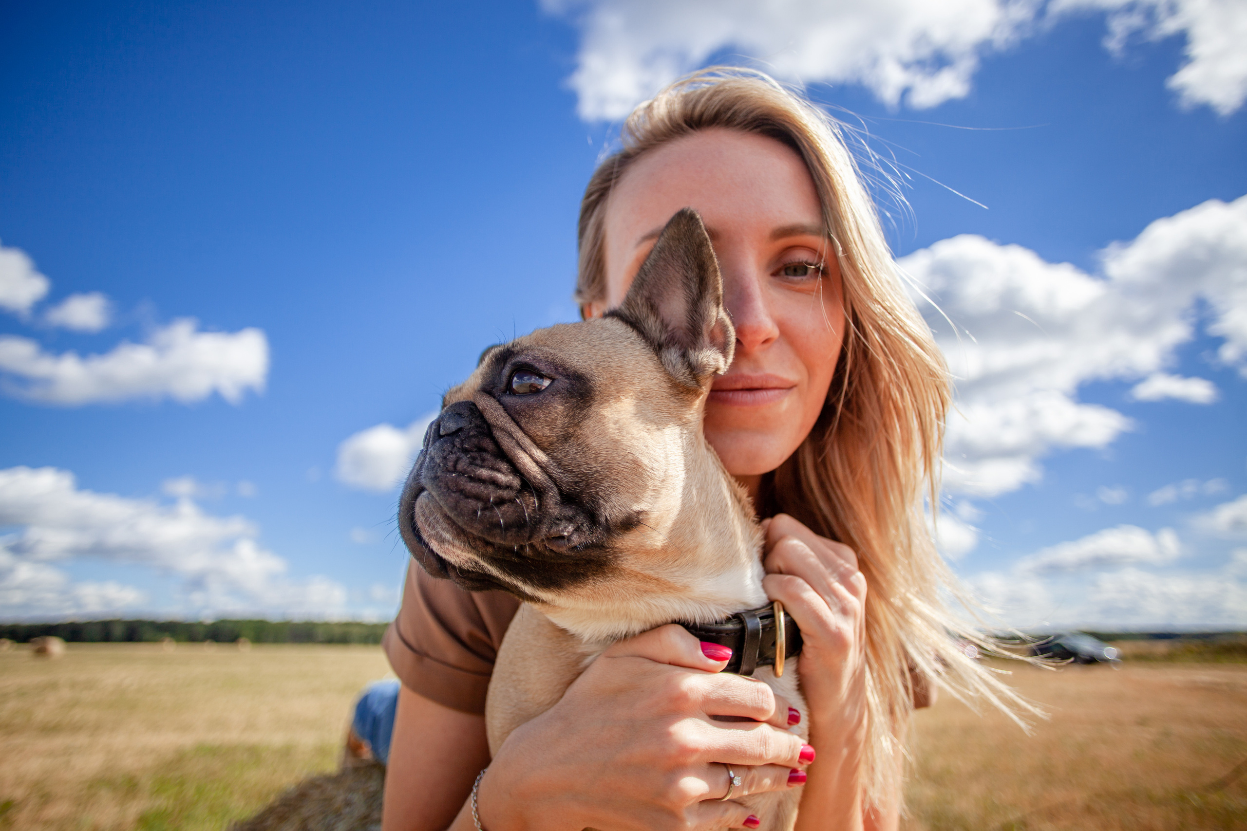 Коломна, стога и подсолнухи. Фотограф-анималист Татьяна Степанова