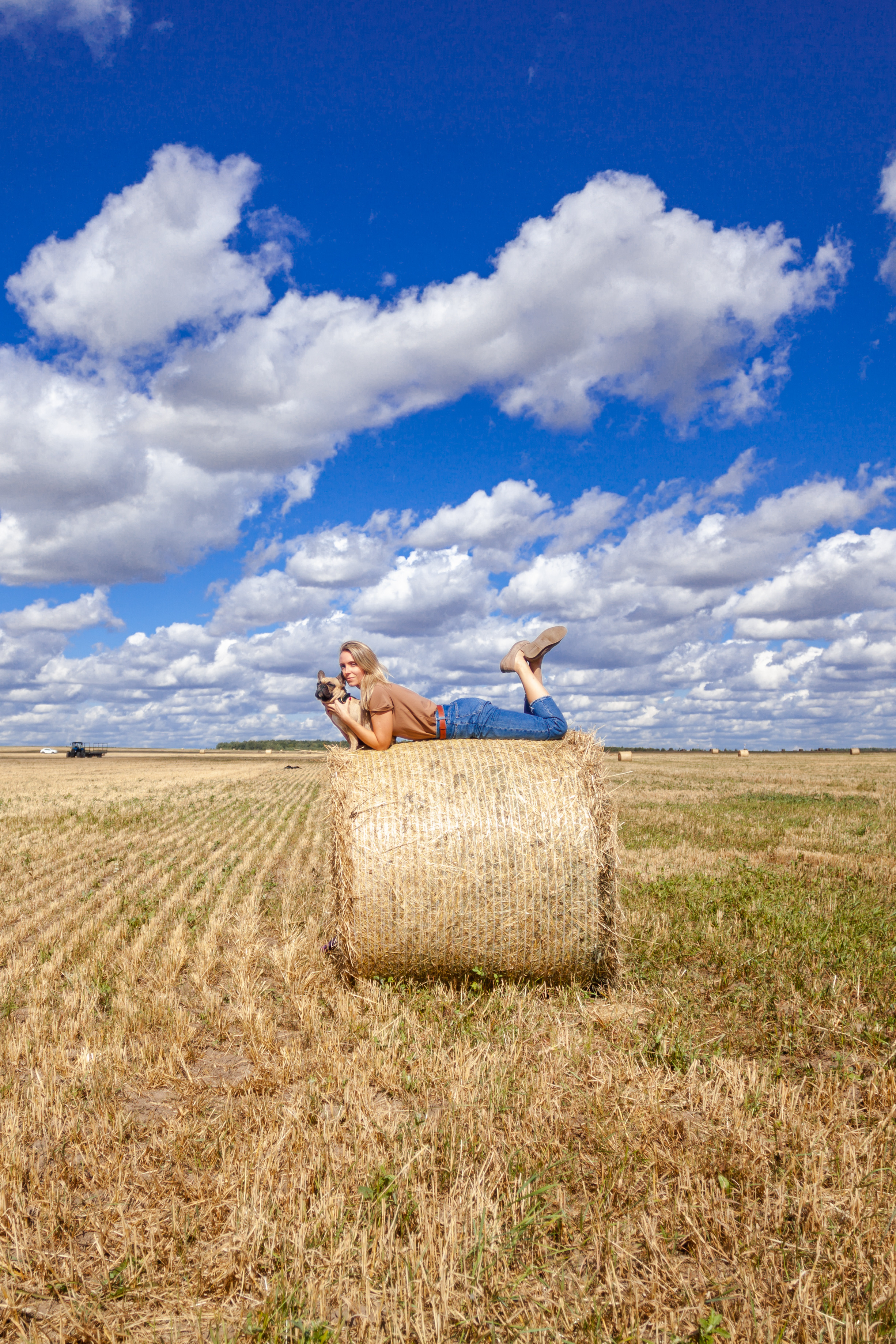 Коломна, стога и подсолнухи. Фотограф-анималист Татьяна Степанова