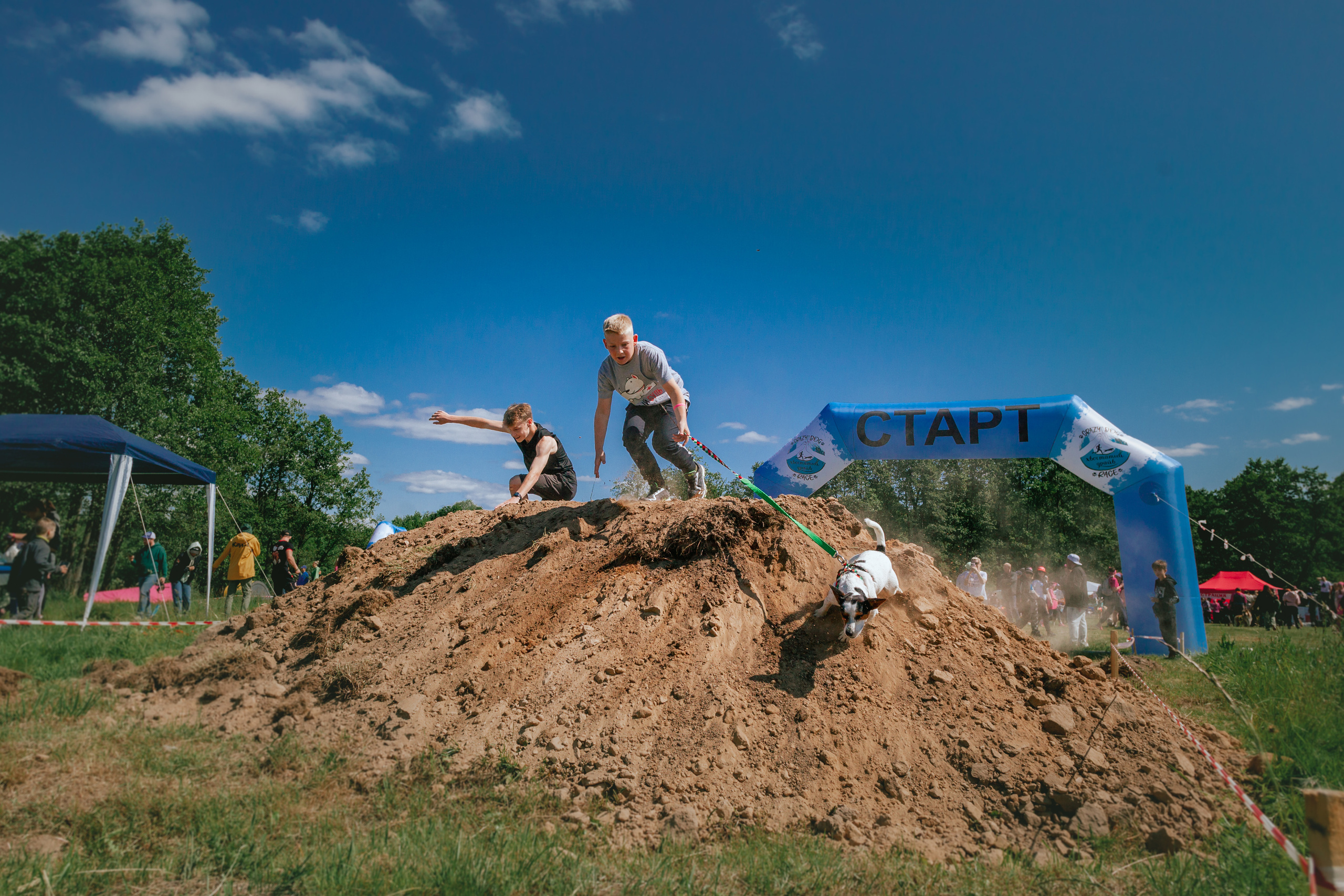 Хвостатый Драйв 11.06.2023. Фотограф-анималист Татьяна Степанова