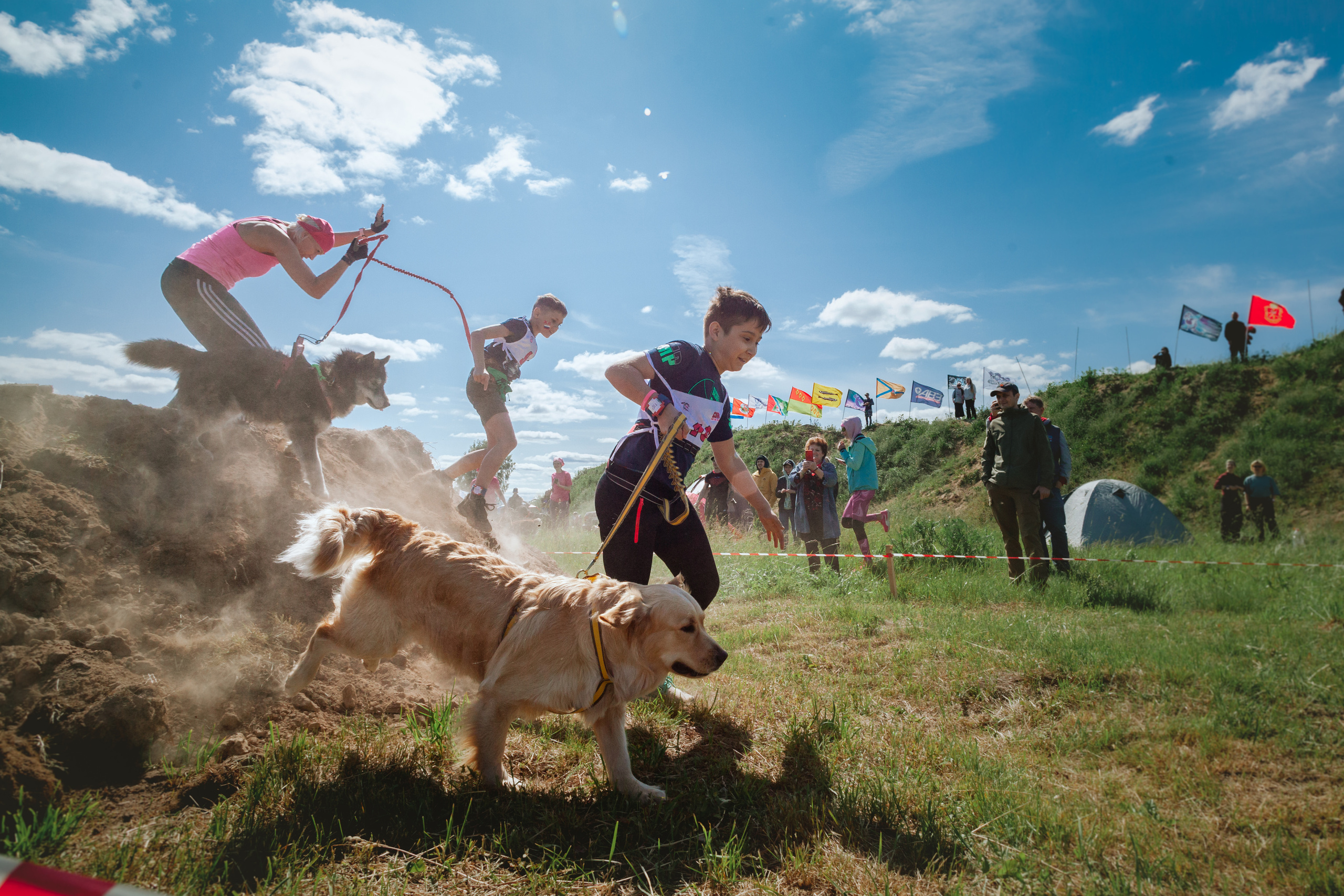 Хвостатый Драйв 11.06.2023. Фотограф-анималист Татьяна Степанова