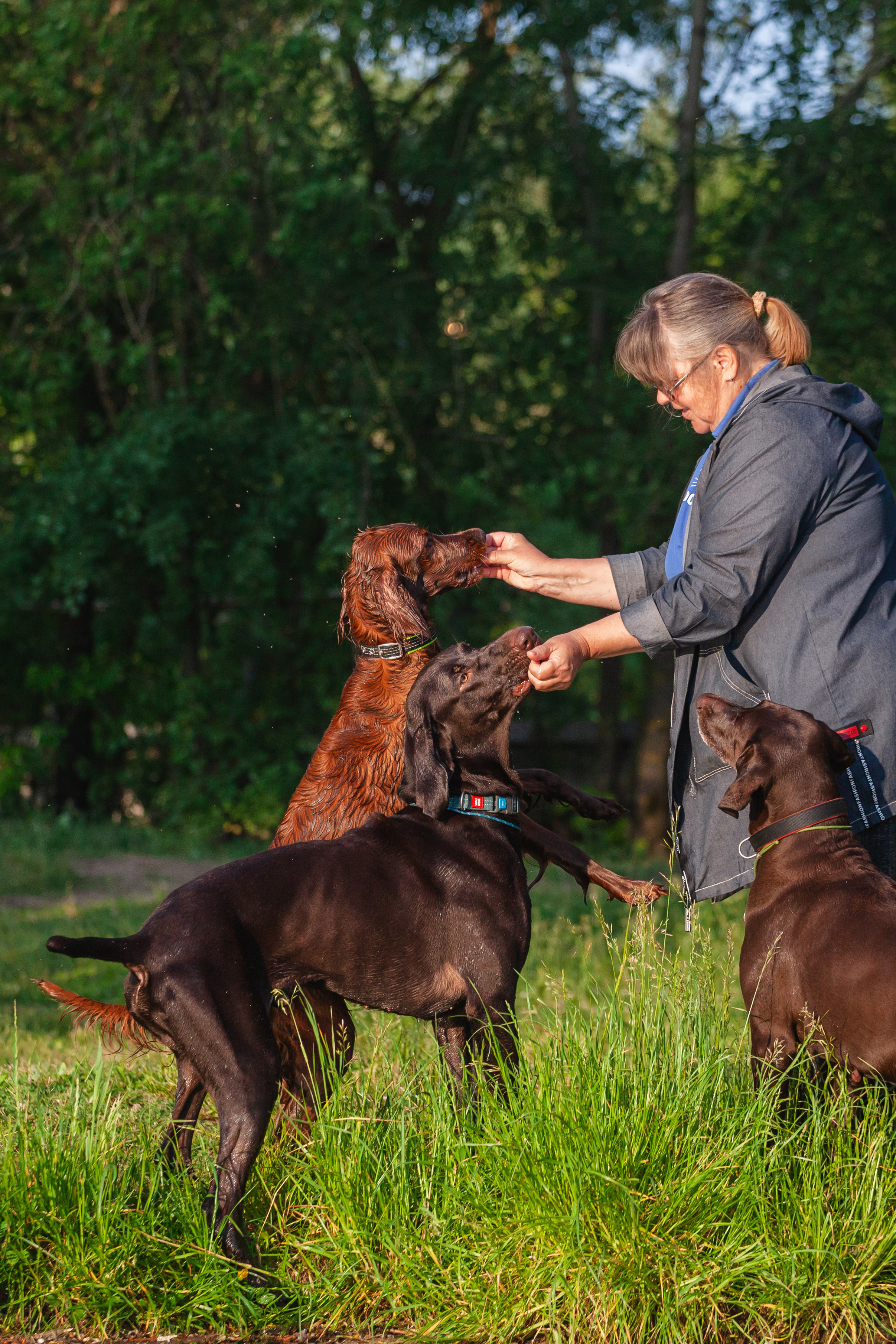 Рассветная съемка в ПКИО Северное Тушино. Фотограф-анималист Татьяна Степанова