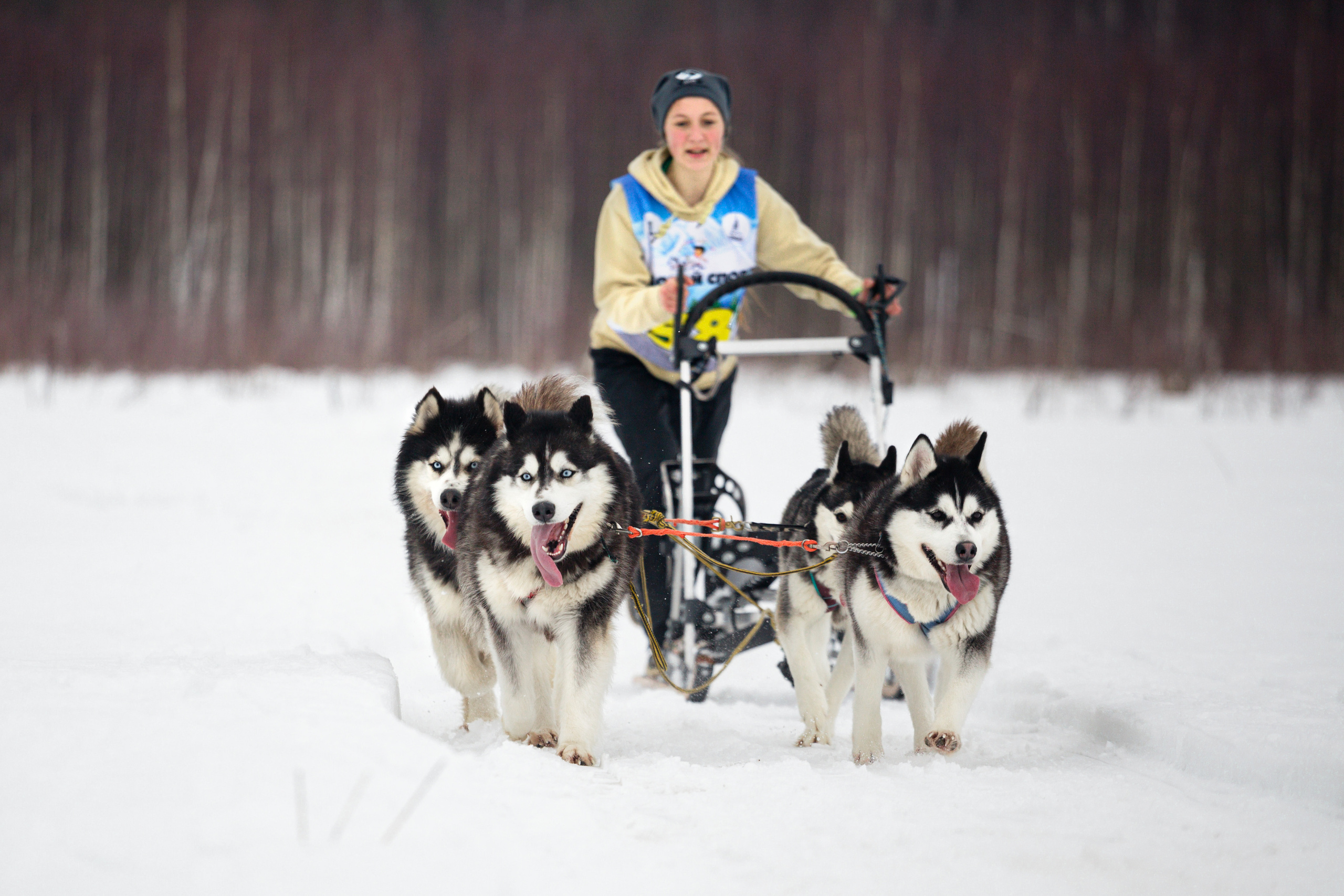 Холодные игры 28 февраля 2022. Фотограф-анималист Татьяна Степанова