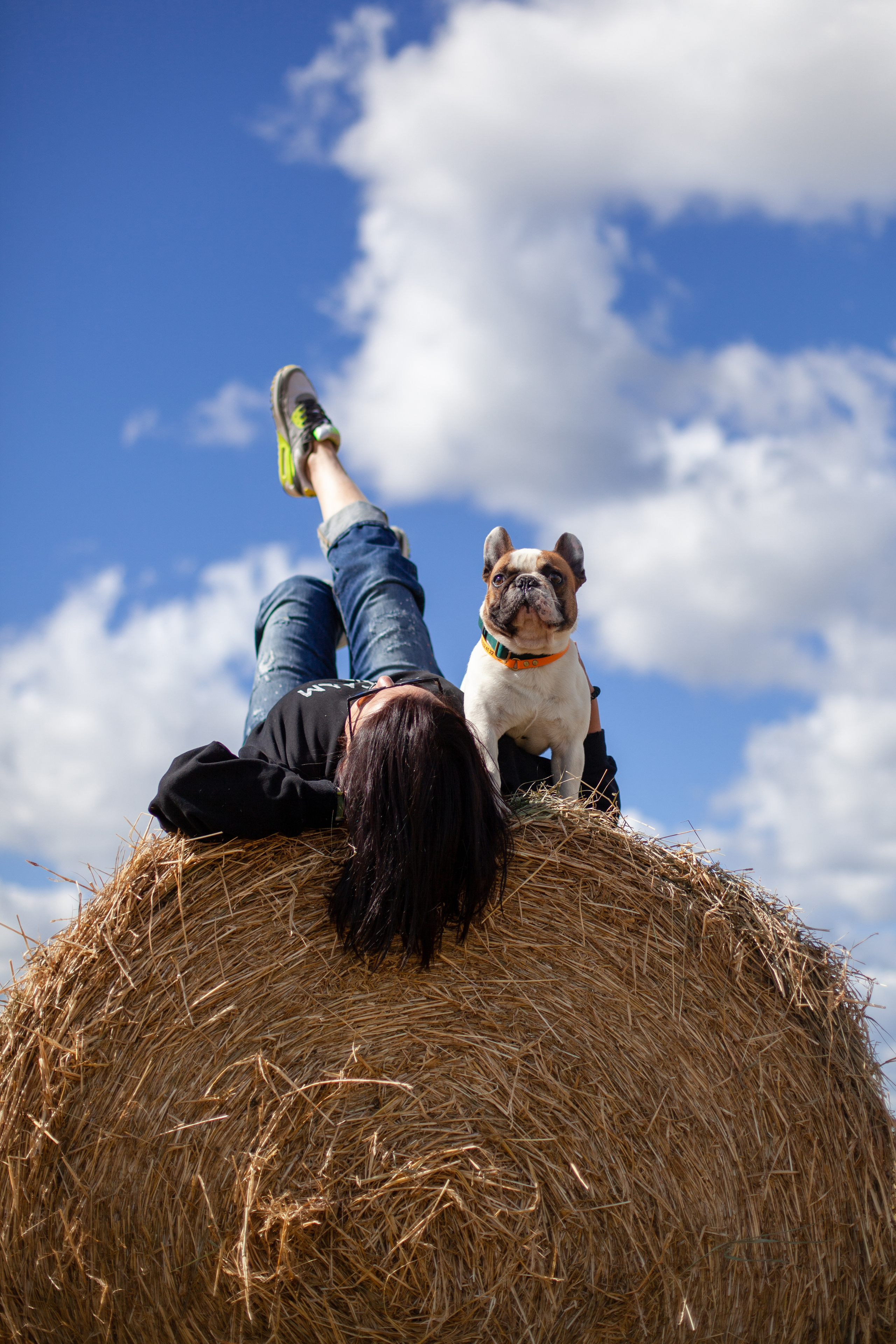Коломна, стога и подсолнухи. Фотограф-анималист Татьяна Степанова