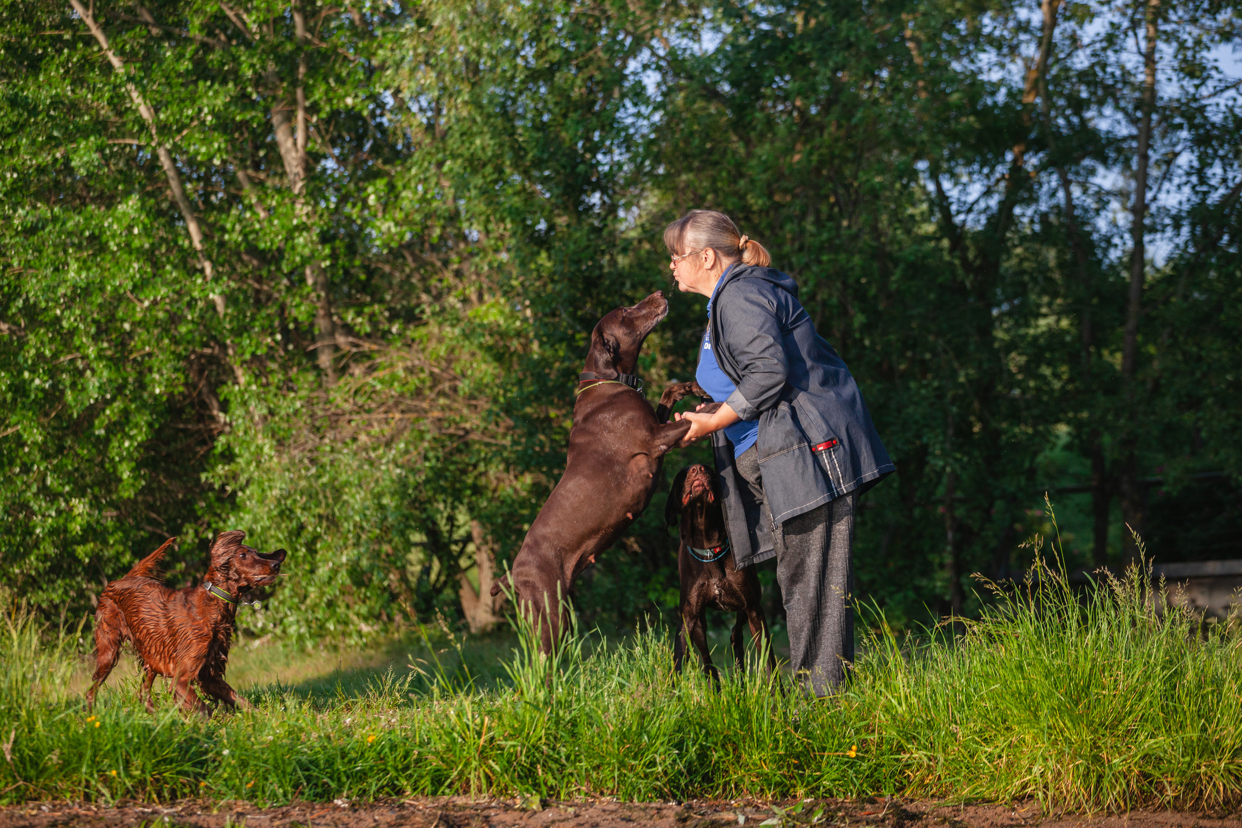 Рассветная съемка в ПКИО Северное Тушино. Фотограф-анималист Татьяна Степанова