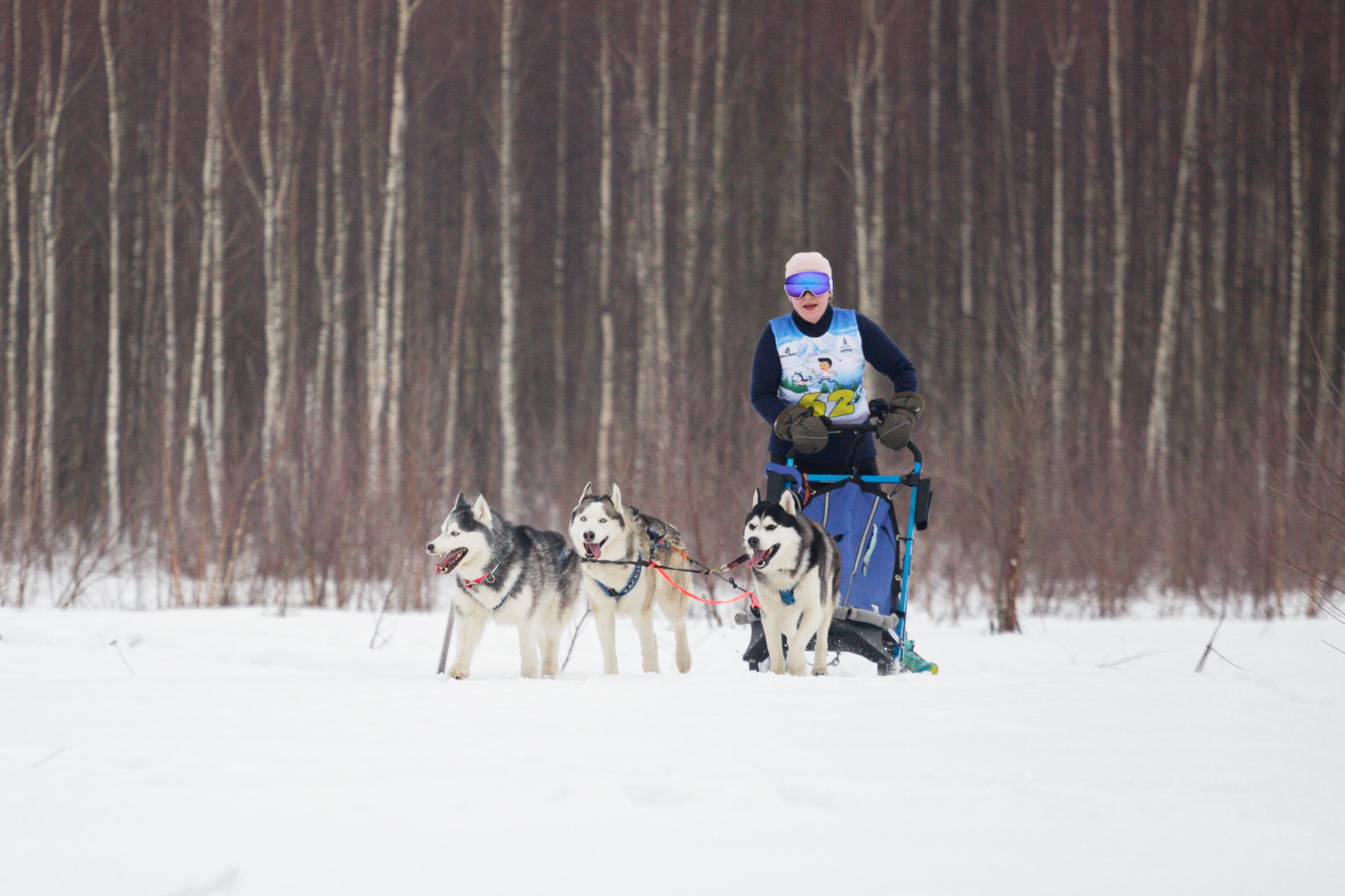Холодные игры 28 февраля 2022. Фотограф-анималист Татьяна Степанова