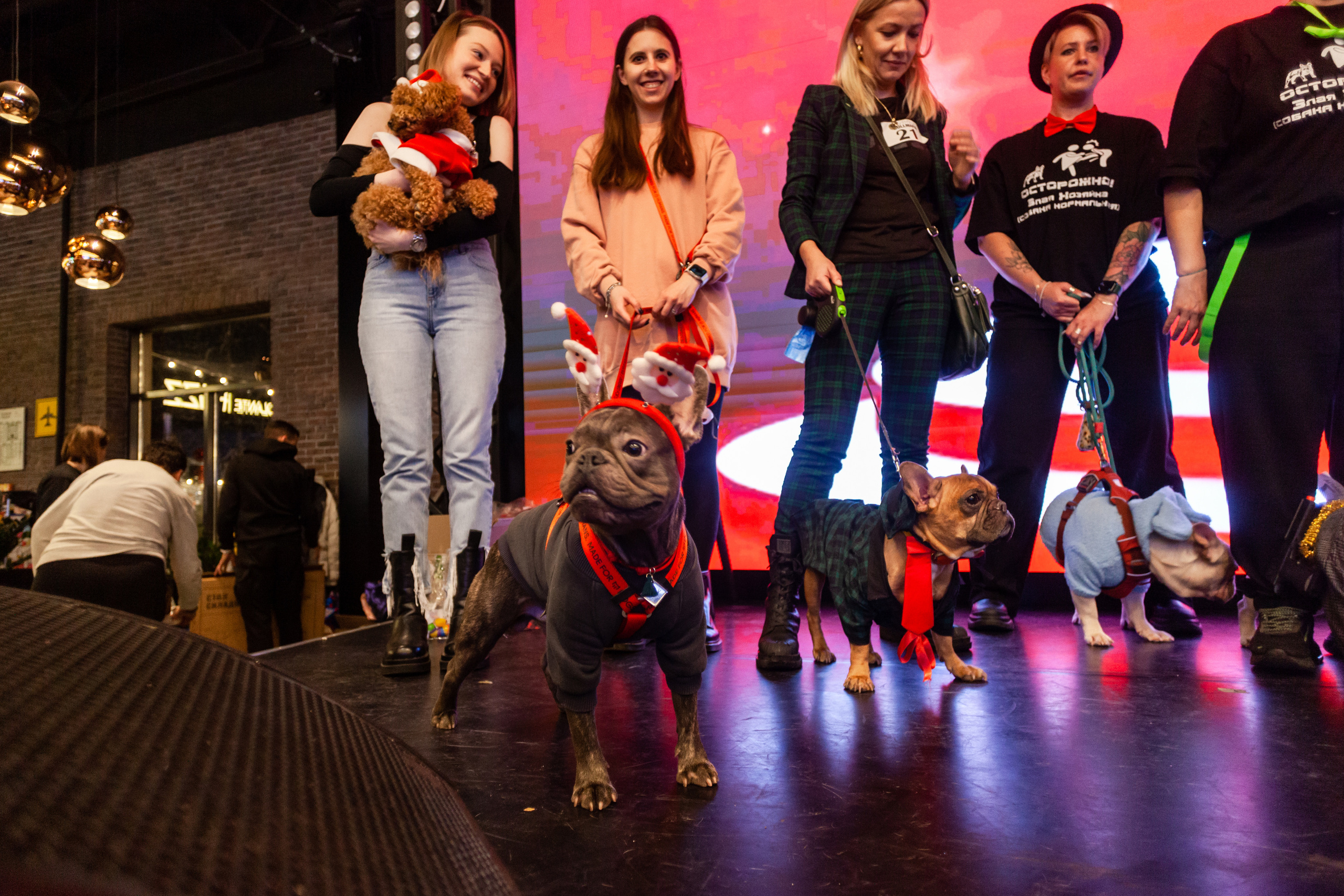 Бульелка 2022. Фотограф-анималист Татьяна Степанова