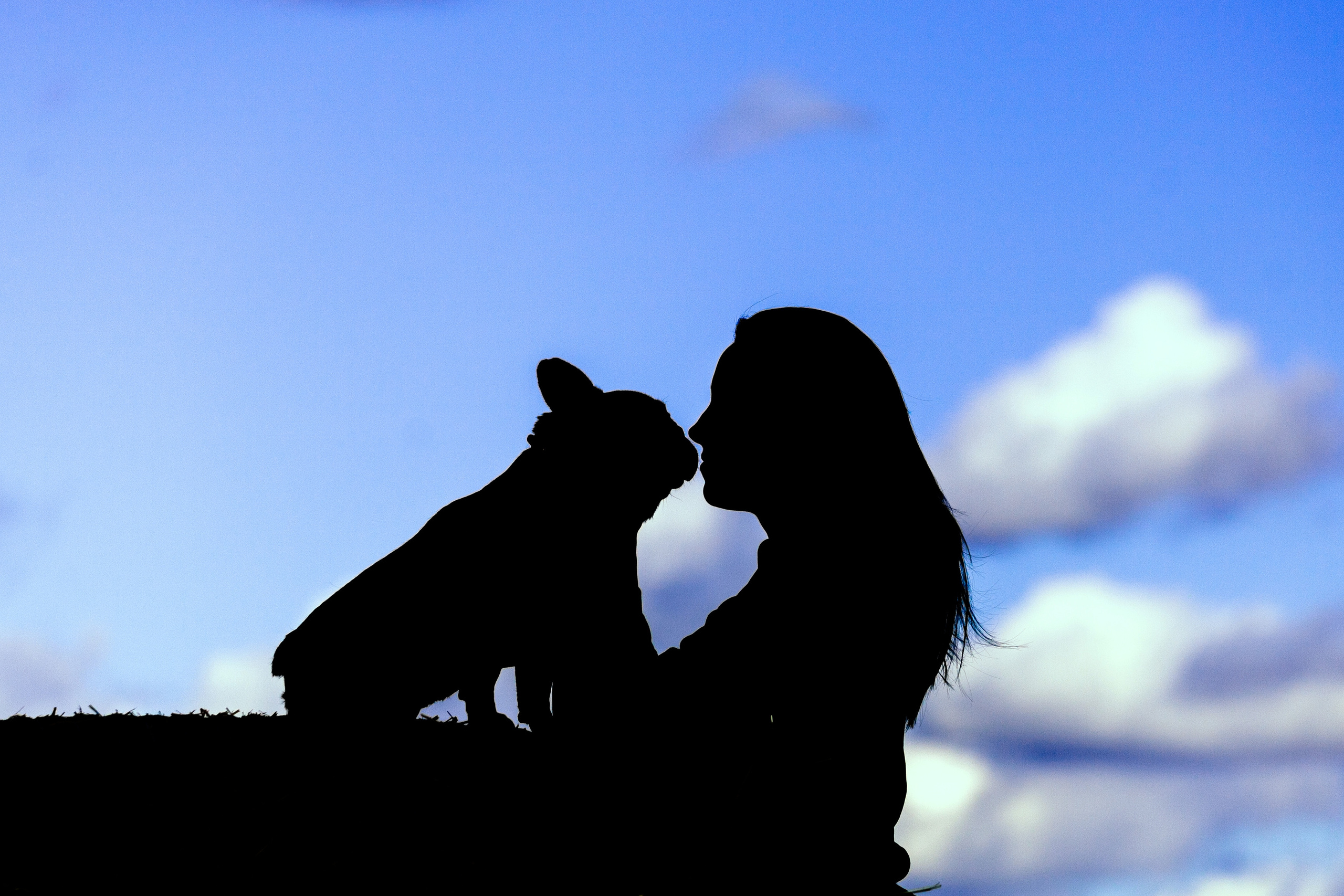 Коломна, стога и подсолнухи. Фотограф-анималист Татьяна Степанова