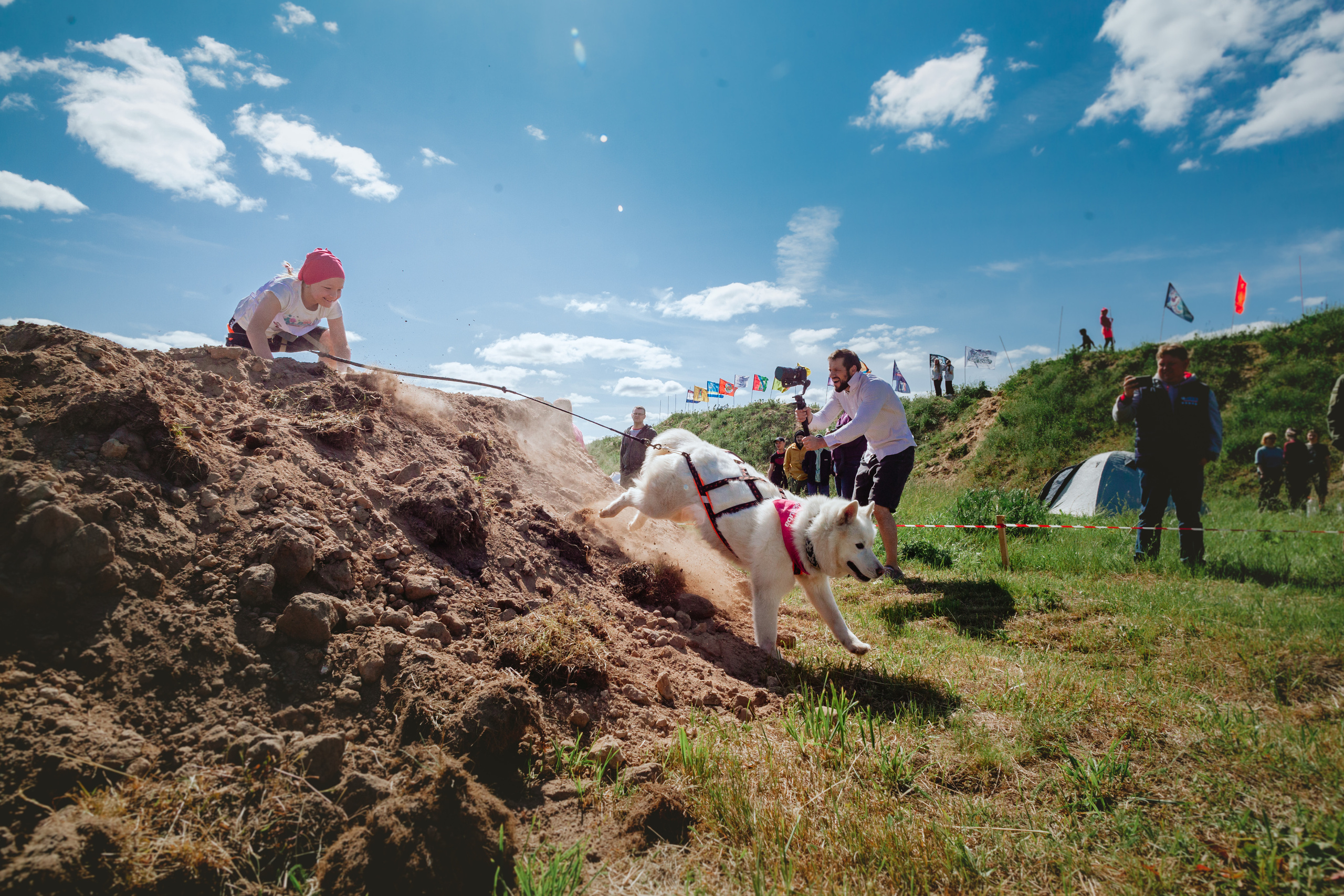 Хвостатый Драйв 11.06.2023. Фотограф-анималист Татьяна Степанова