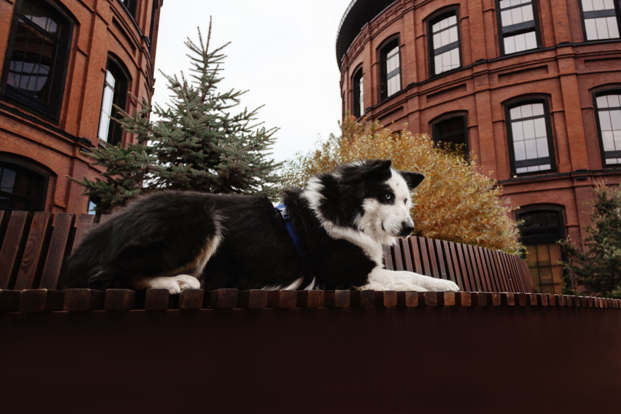 Чех 2022. Фотограф-анималист Татьяна Степанова