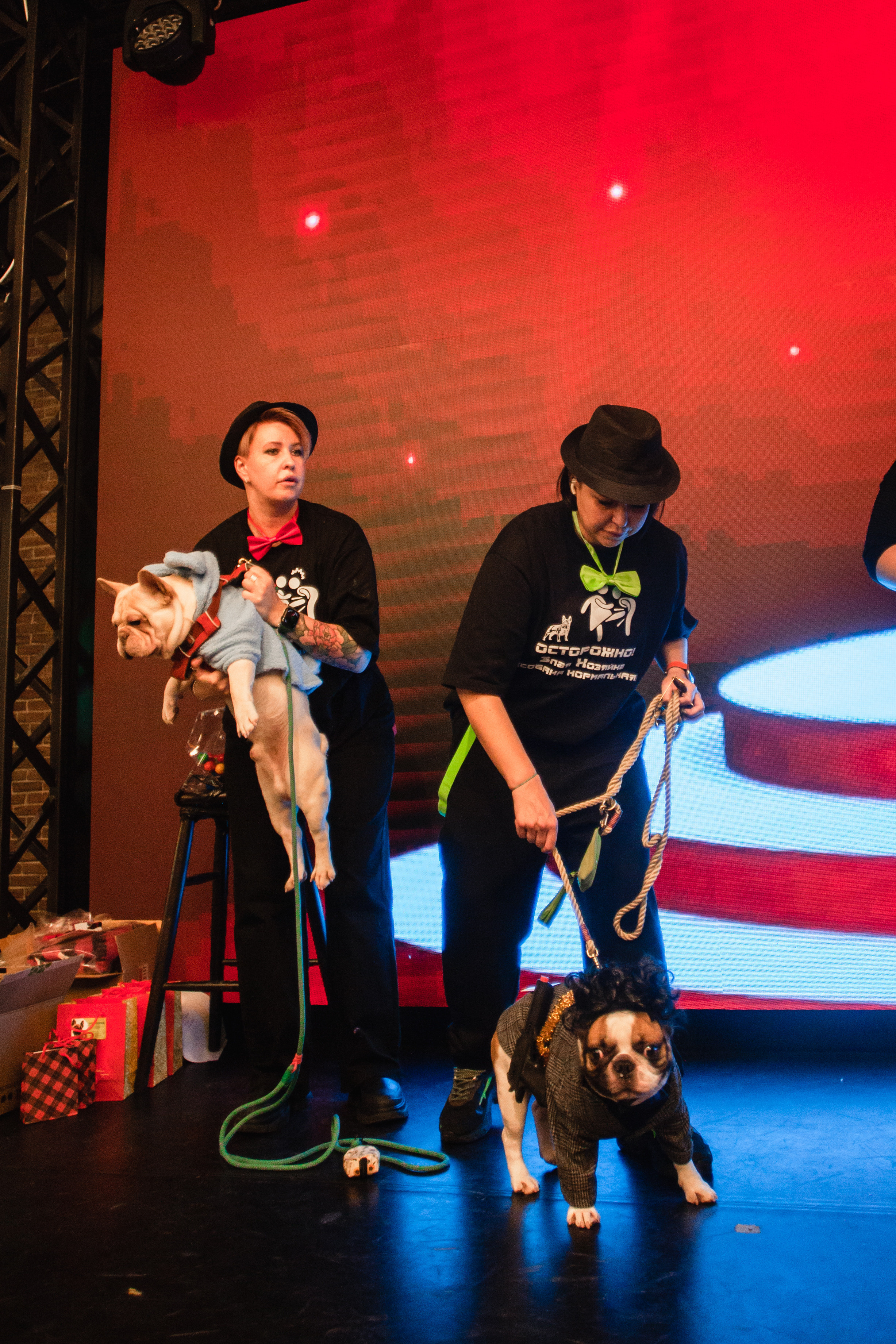 Бульелка 2022. Фотограф-анималист Татьяна Степанова