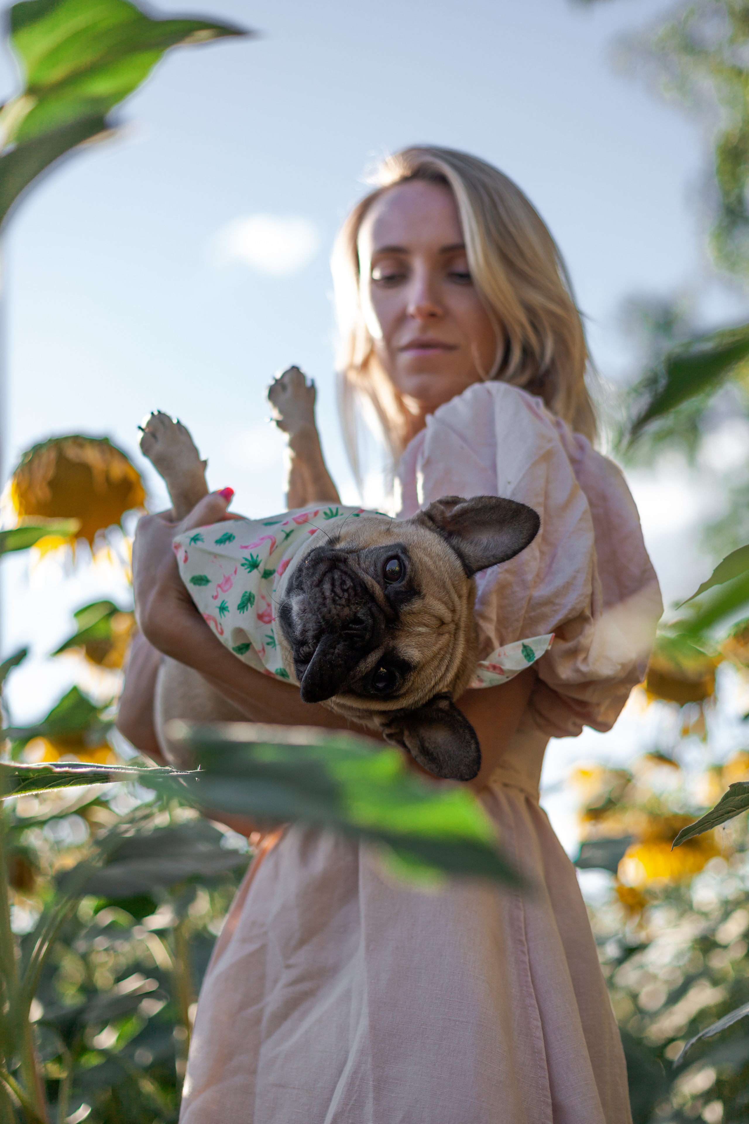 Коломна, стога и подсолнухи. Фотограф-анималист Татьяна Степанова