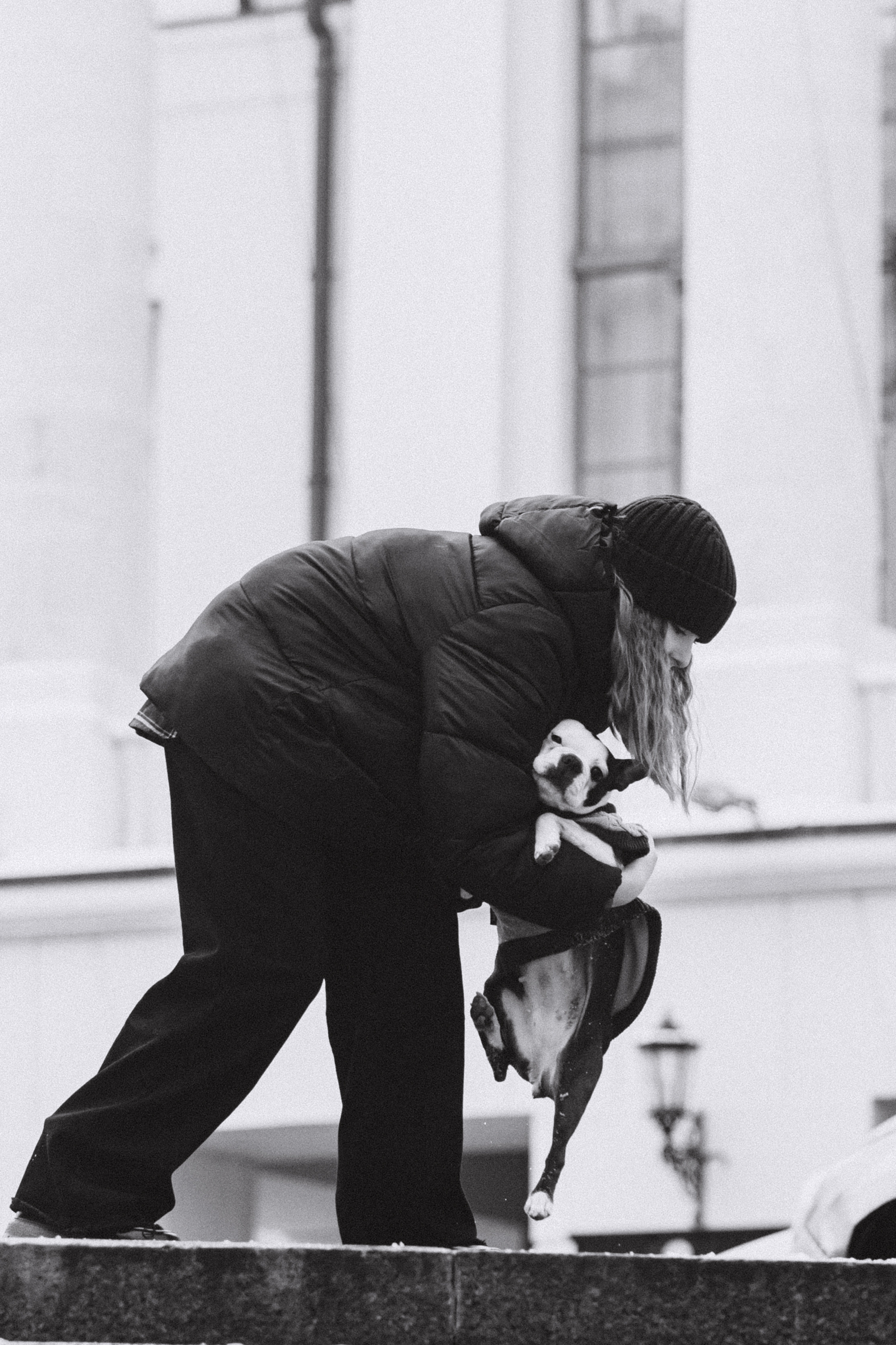 Василиса и Мира Кузнецкий мост. Фотограф-анималист Татьяна Степанова