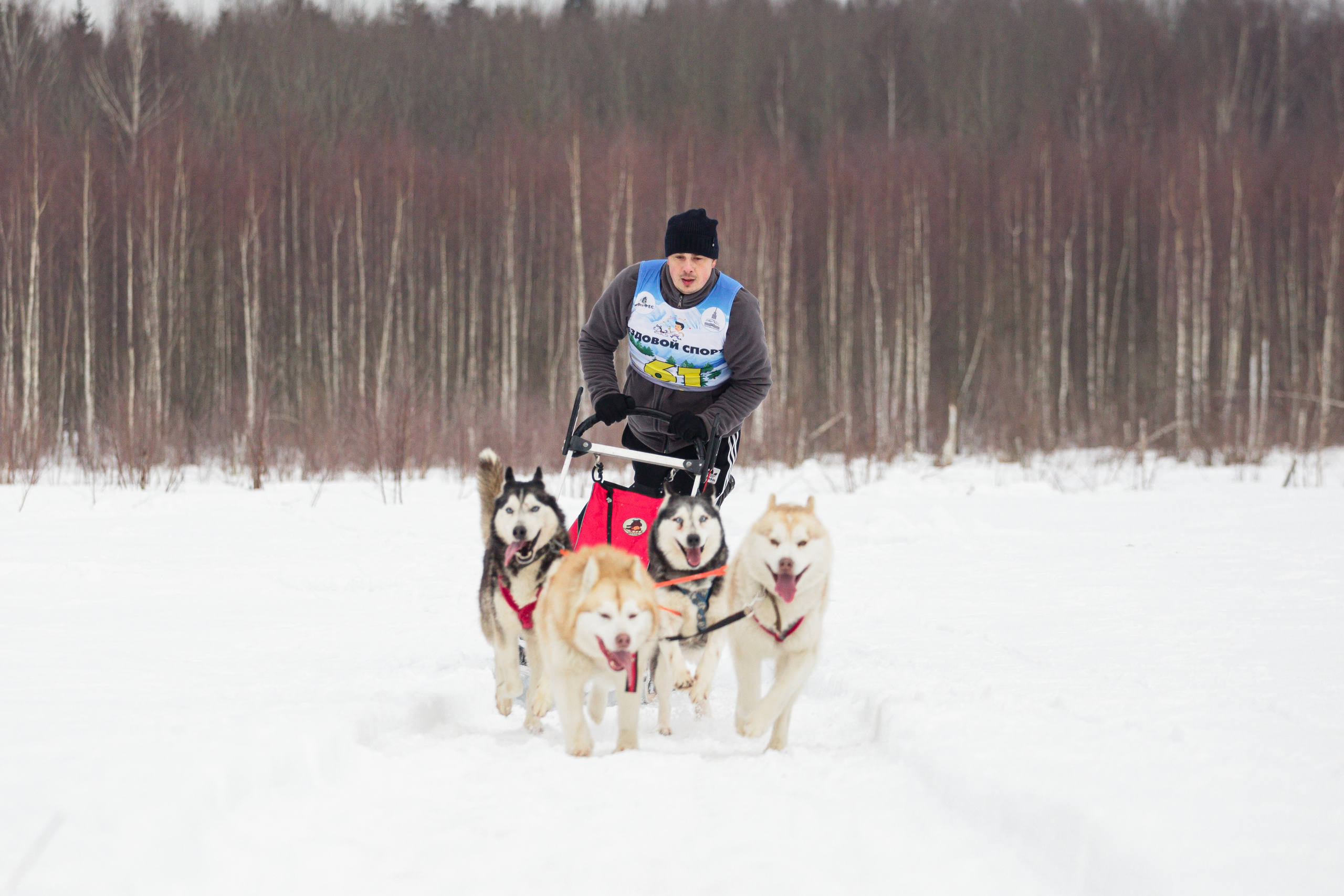 Холодные игры 28 февраля 2022. Фотограф-анималист Татьяна Степанова