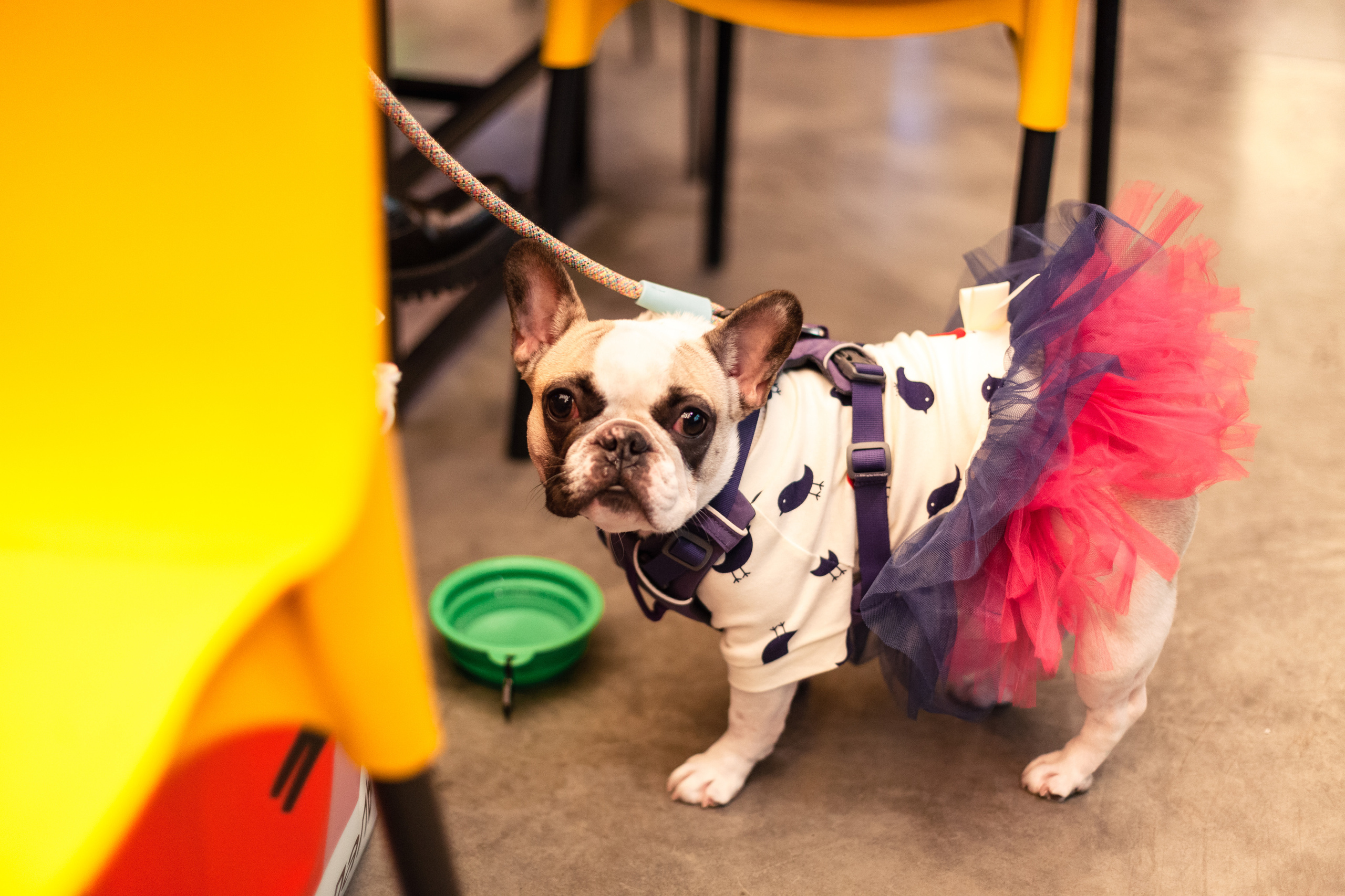 Бульелка 2022. Фотограф-анималист Татьяна Степанова