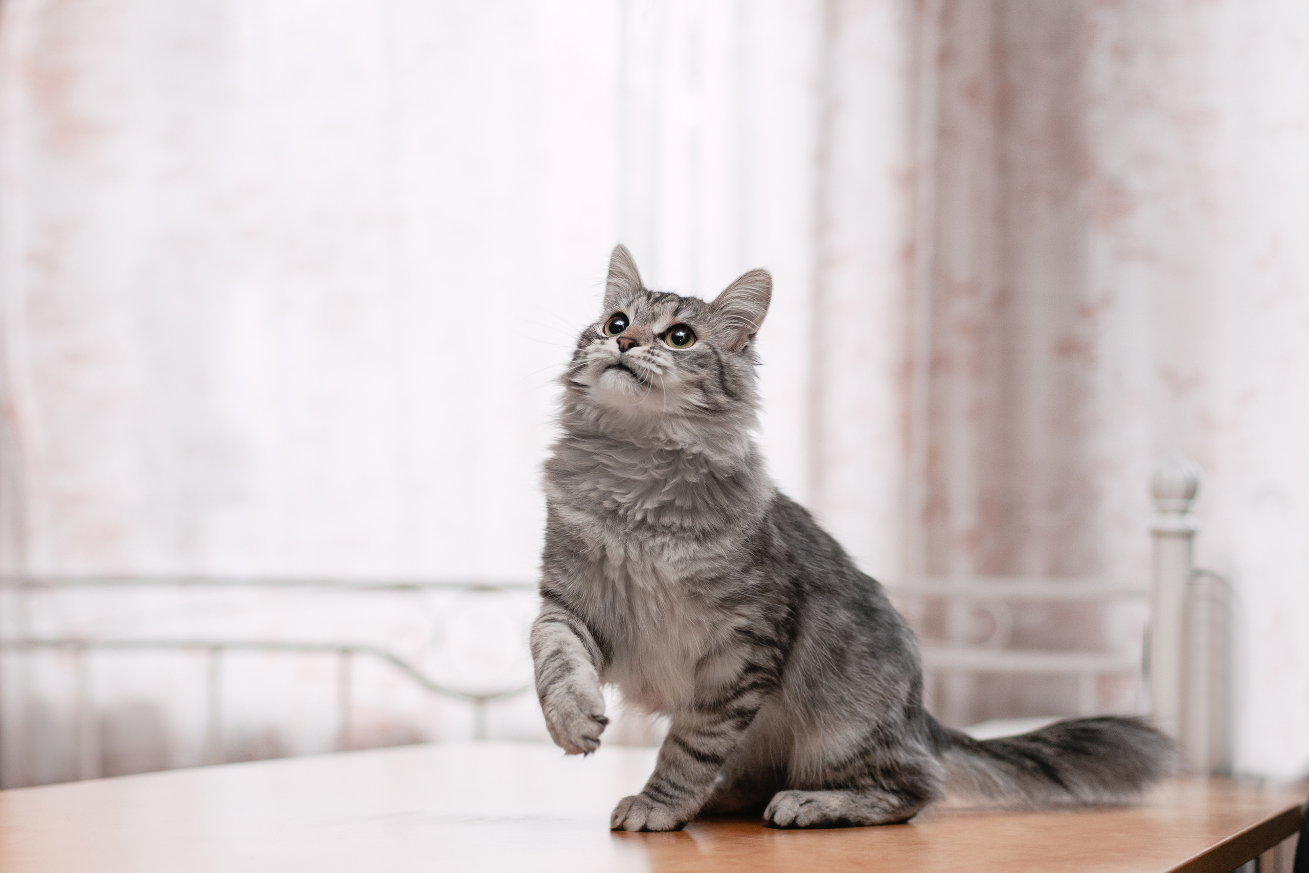 Космос 2023. Фотограф-анималист Татьяна Степанова