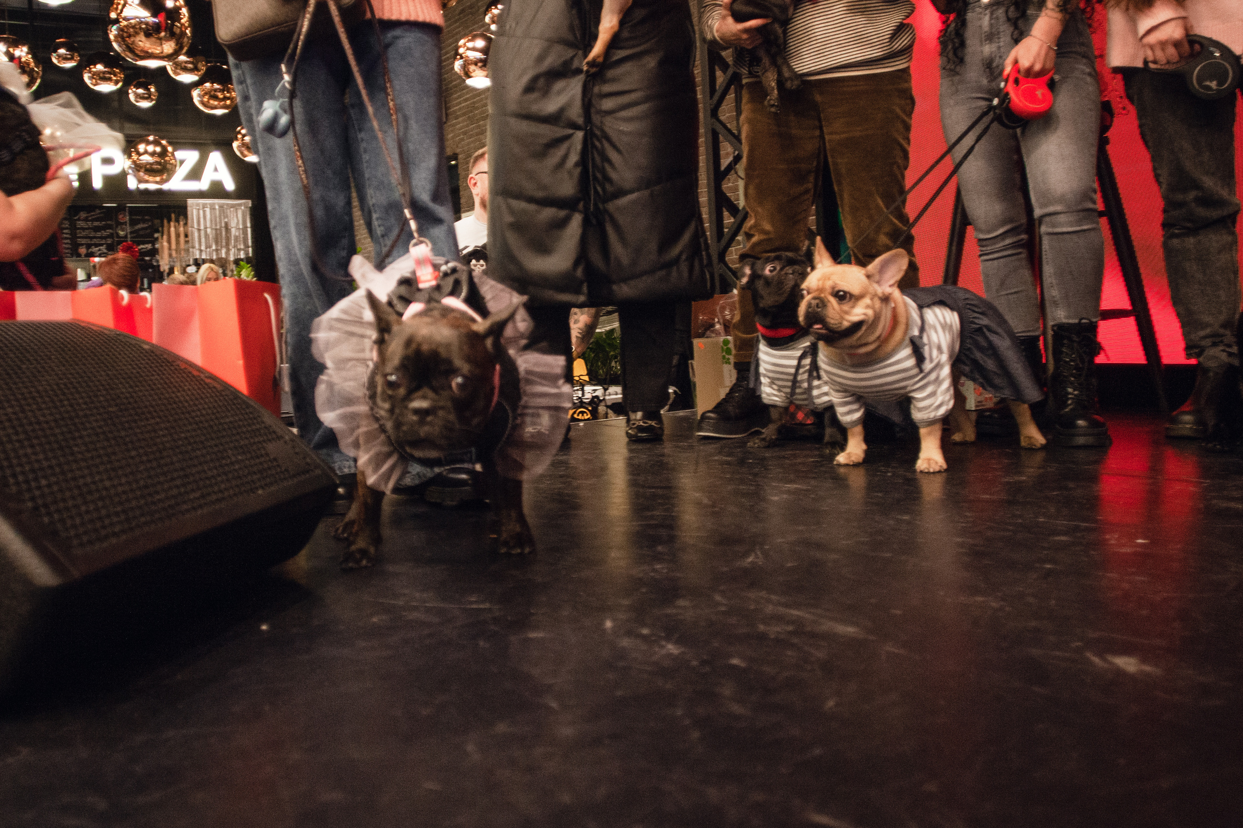 Бульелка 2022. Фотограф-анималист Татьяна Степанова