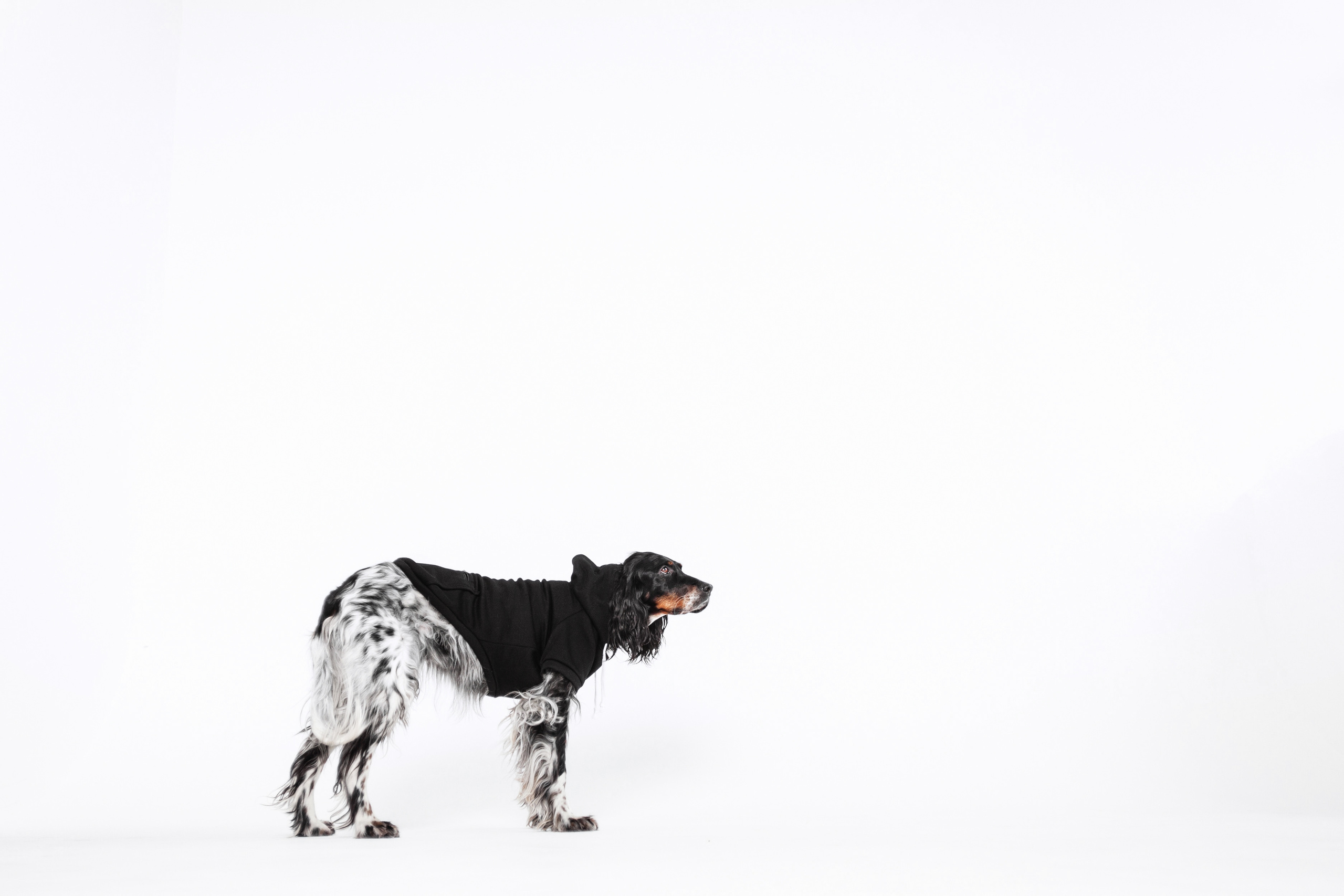 Света и Богдана. Фотограф-анималист Татьяна Степанова