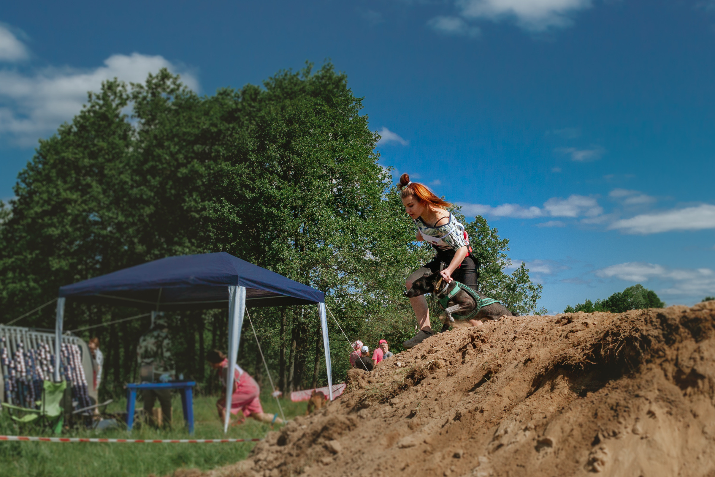 Хвостатый Драйв 11.06.2023. Фотограф-анималист Татьяна Степанова
