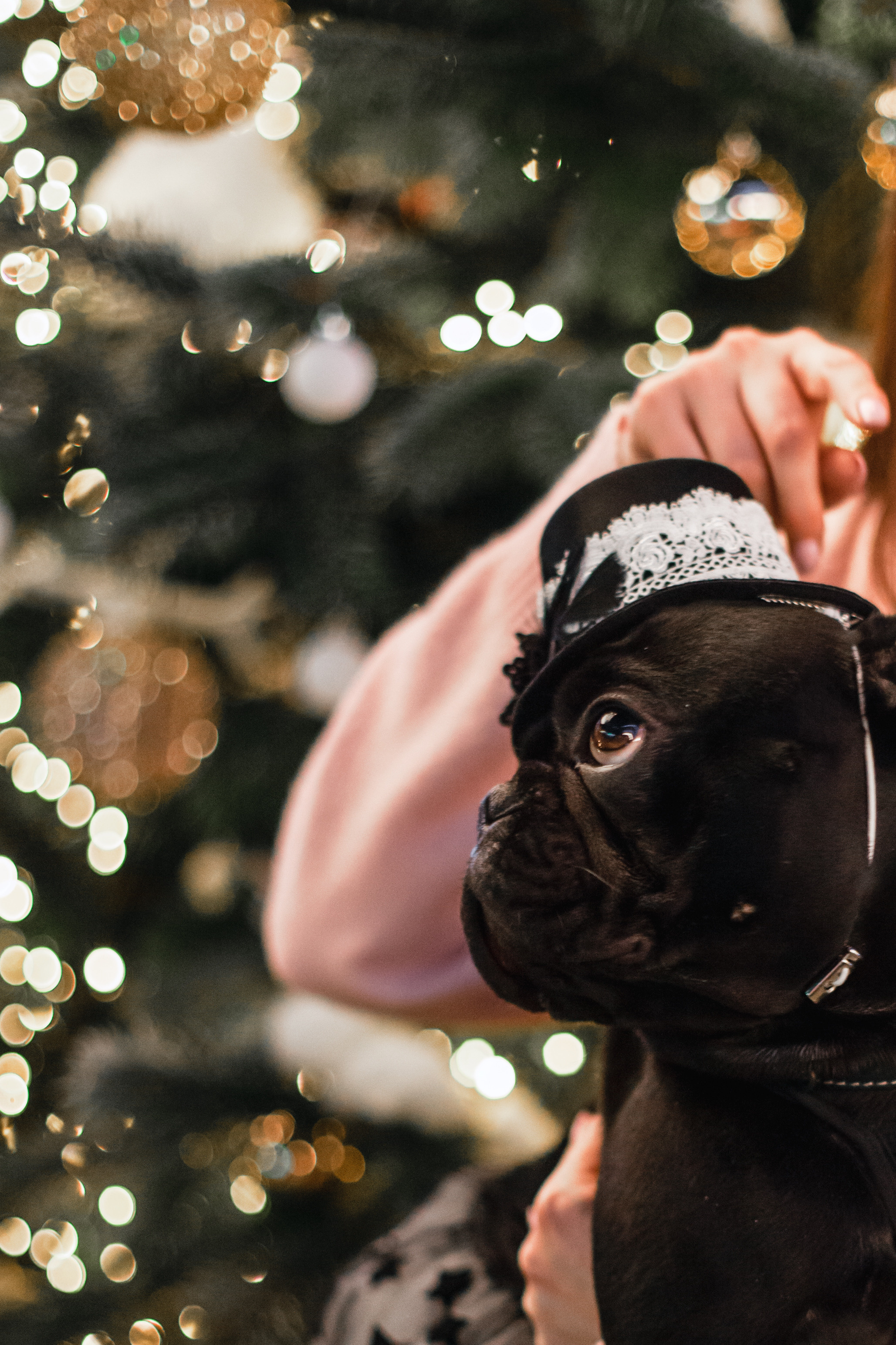 Бульелка 2022. Фотограф-анималист Татьяна Степанова