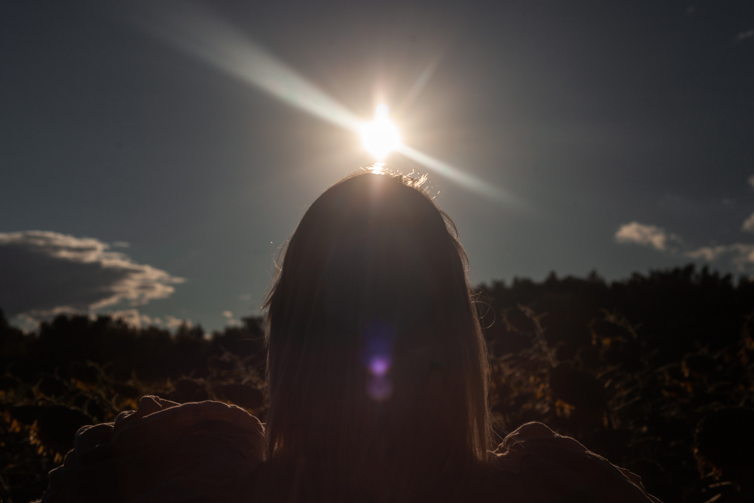 Коломна, стога и подсолнухи. Фотограф-анималист Татьяна Степанова