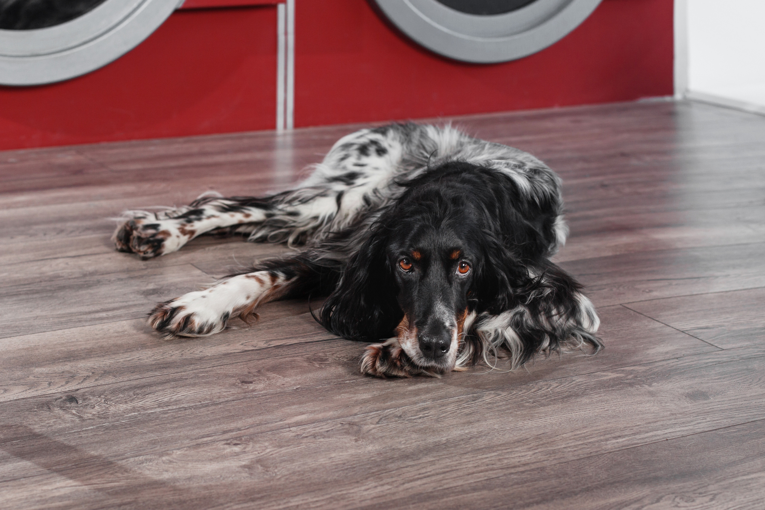 Света и Богдана. Фотограф-анималист Татьяна Степанова