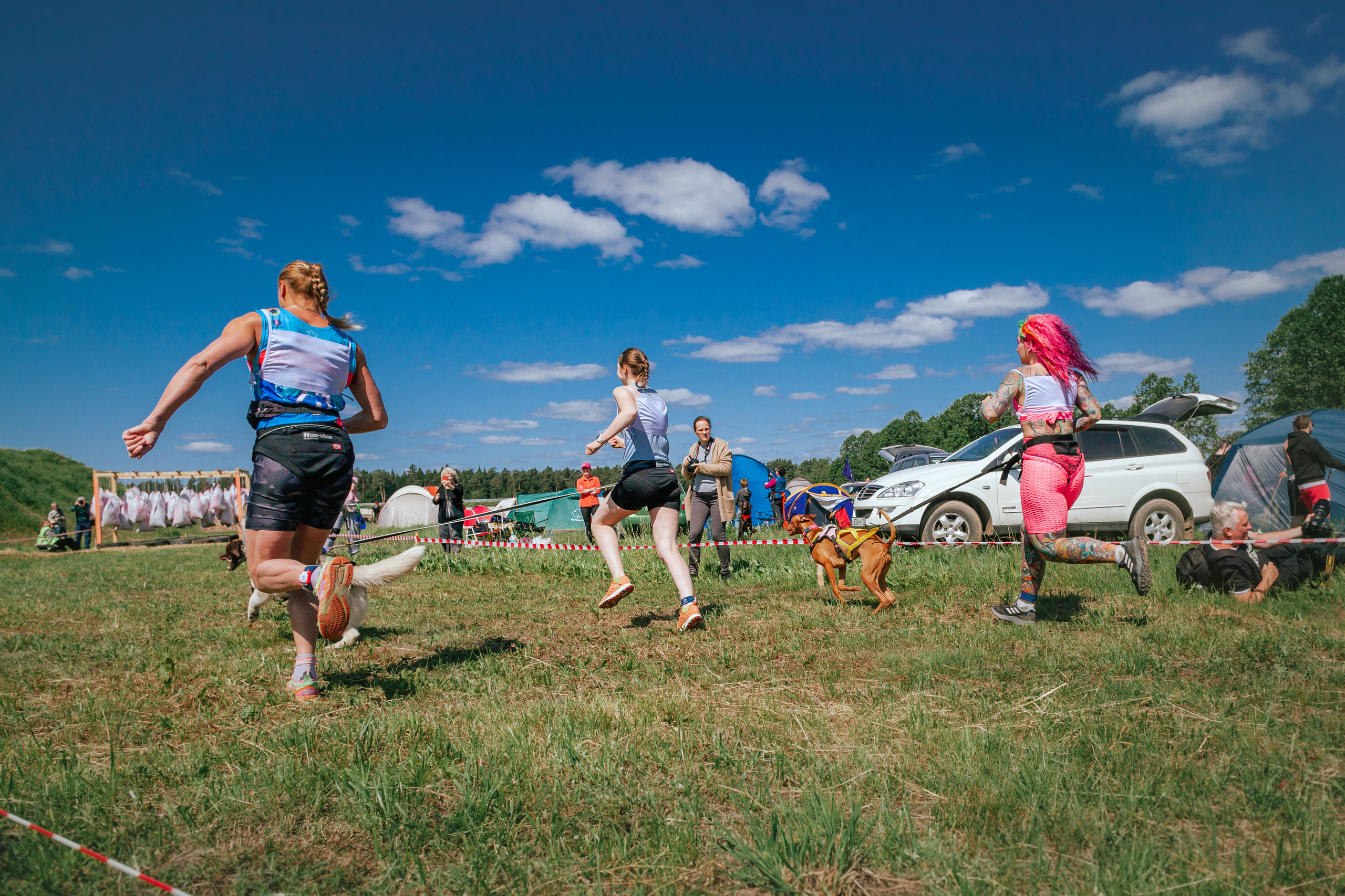 Хвостатый Драйв 11.06.2023. Фотограф-анималист Татьяна Степанова