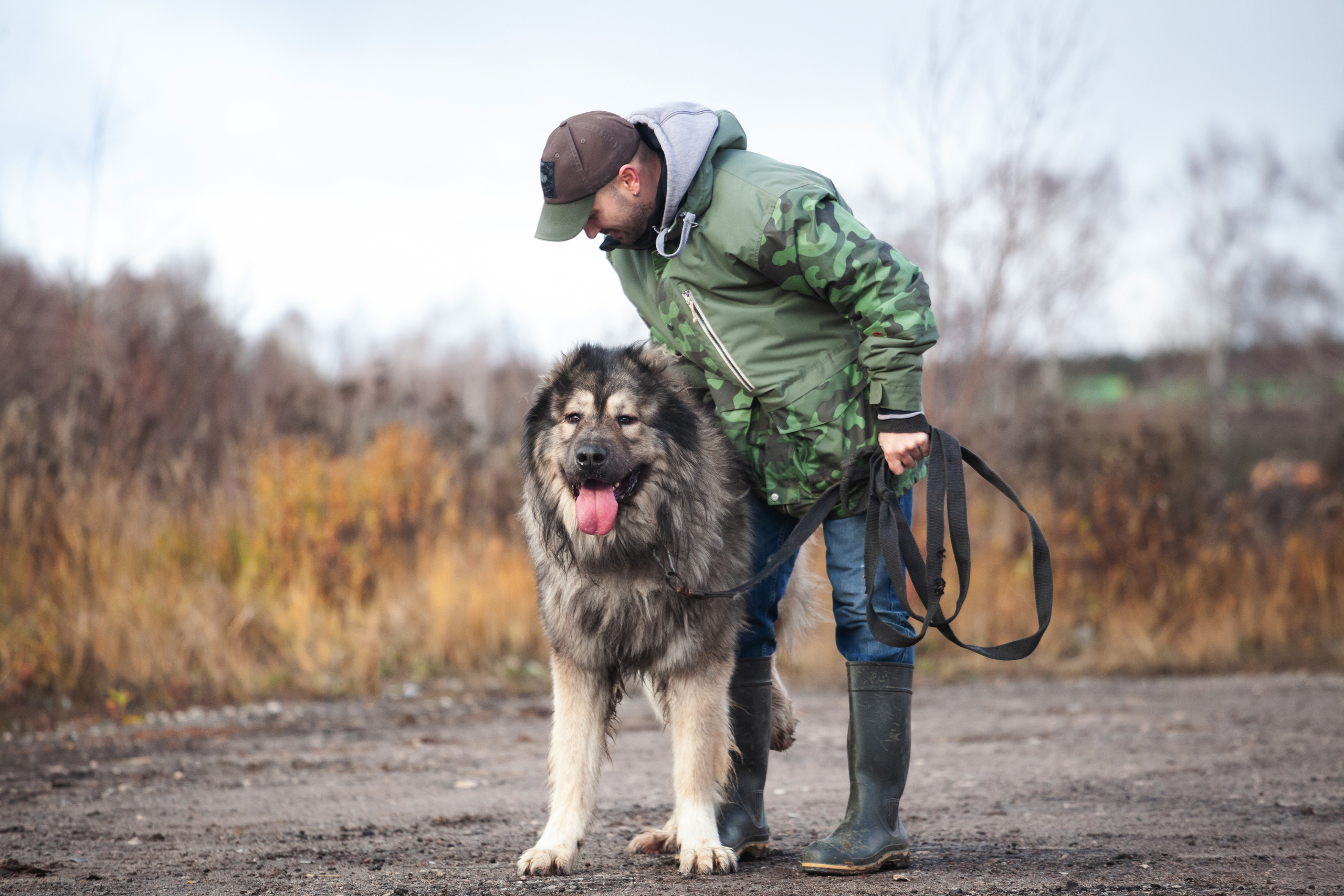 Фонд помощи кавказским овчаркам (Дудусик дог) 2022. Фотограф-анималист Татьяна Степанова