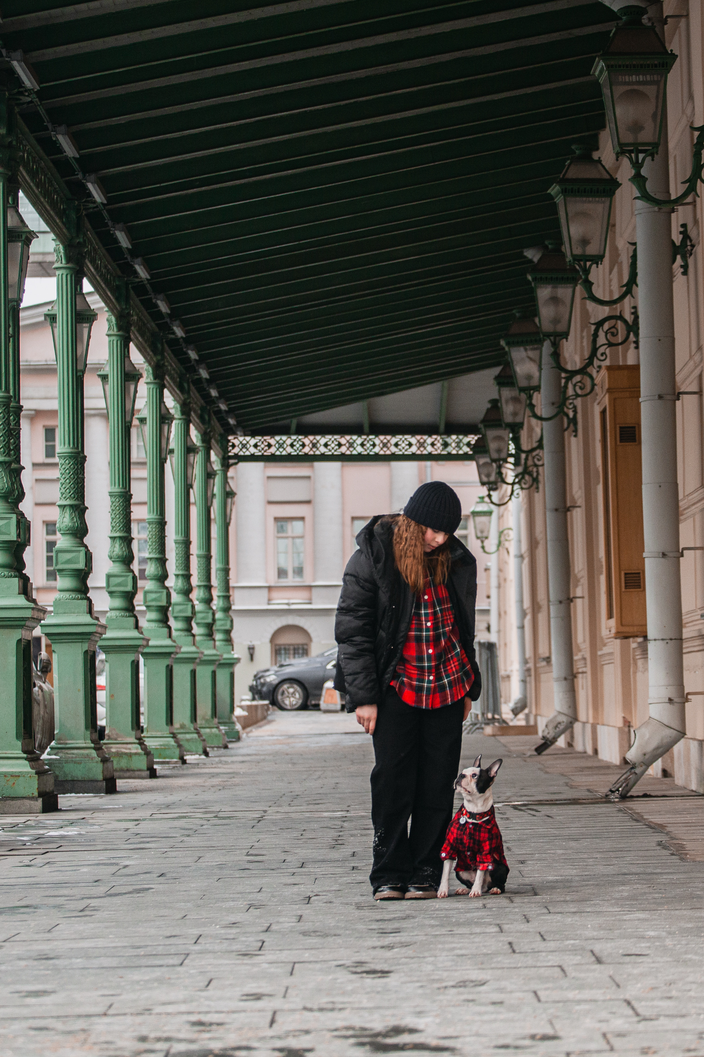 Василиса и Мира Кузнецкий мост. Фотограф-анималист Татьяна Степанова