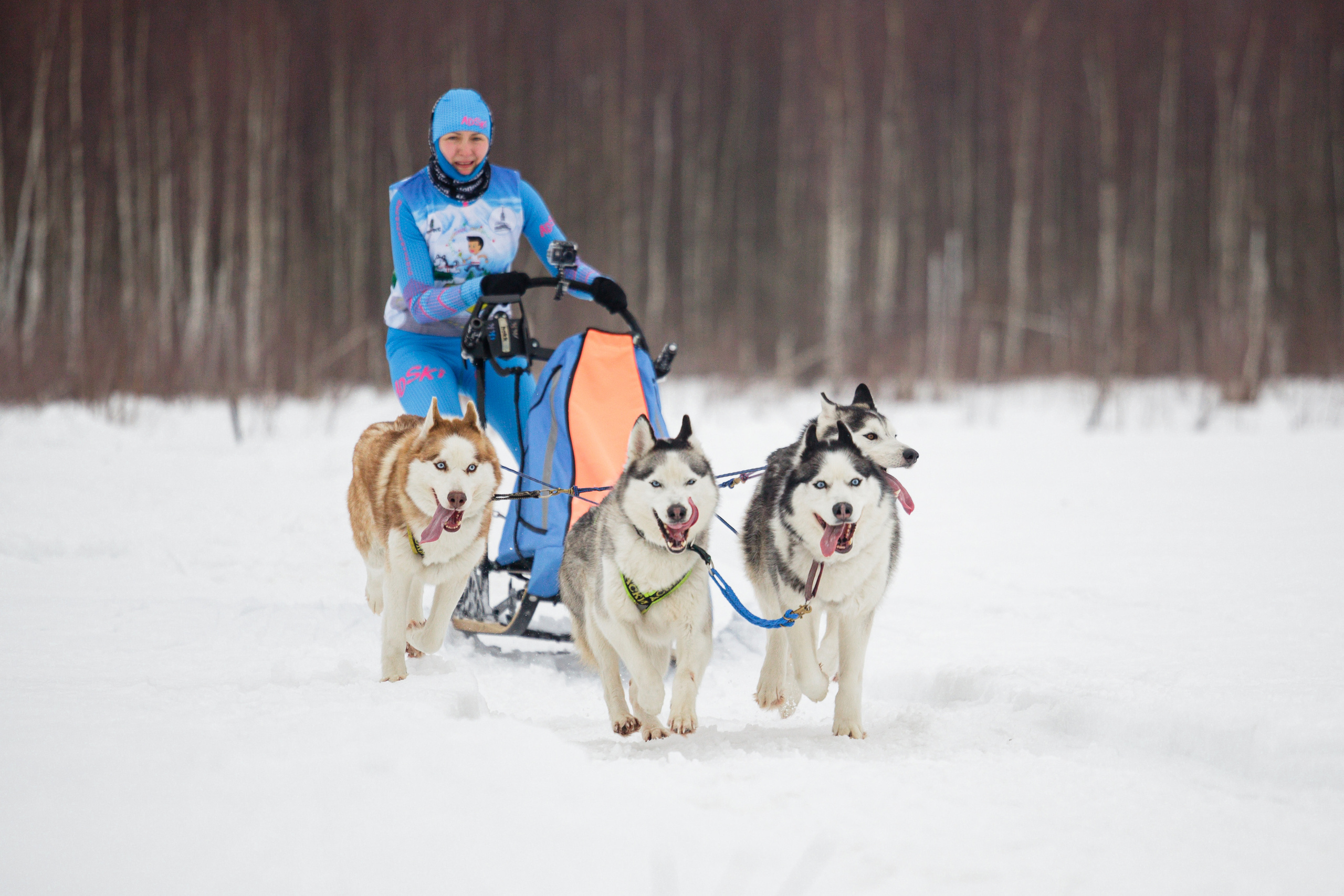 Холодные игры 28 февраля 2022. Фотограф-анималист Татьяна Степанова