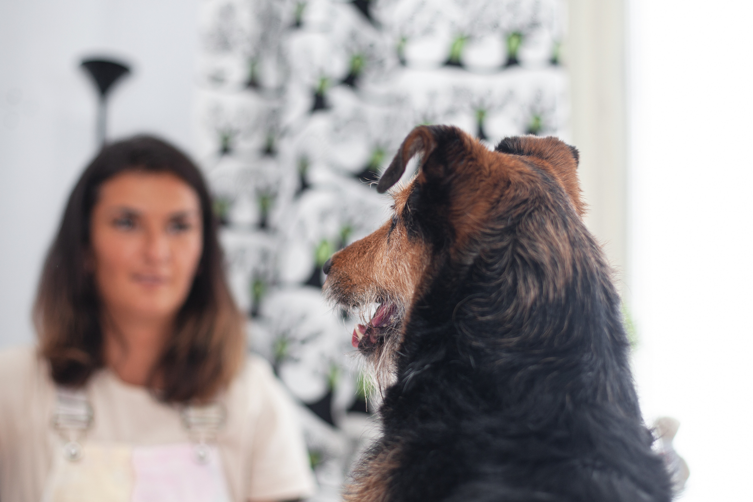 Лиза и Бренда. Фотограф-анималист Татьяна Степанова