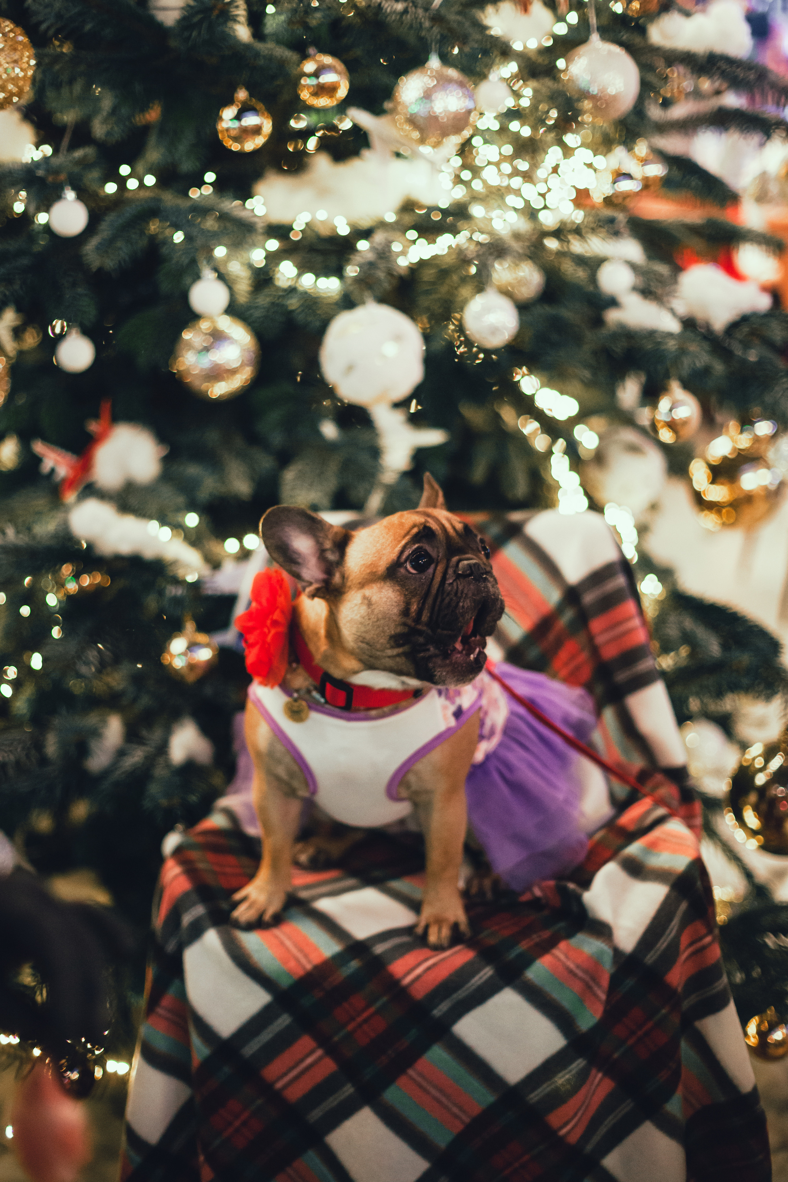 Бульелка 2022. Фотограф-анималист Татьяна Степанова