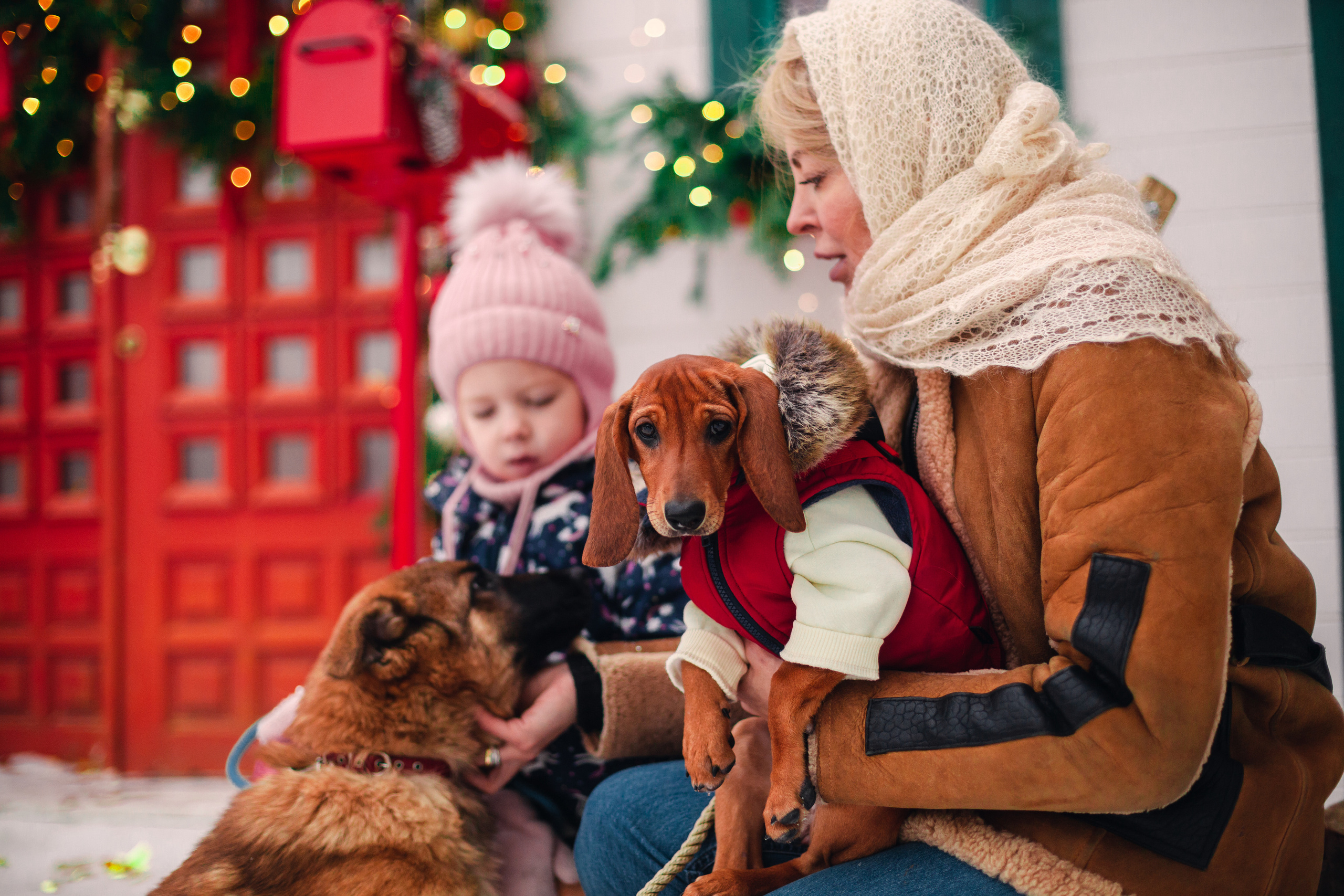 Новогодняя серия с ретромашиной. Фотограф-анималист Татьяна Степанова