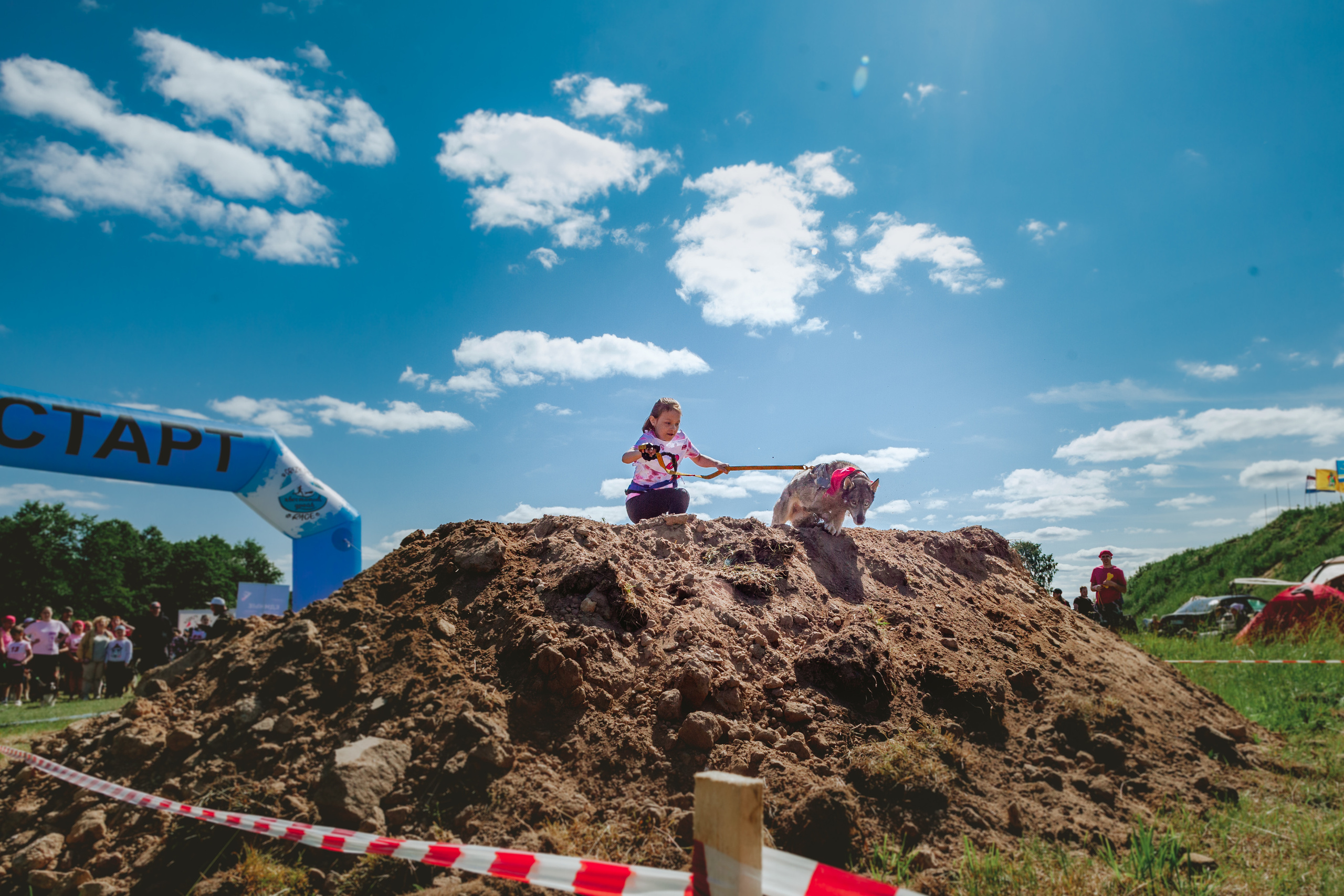 Хвостатый Драйв 11.06.2023. Фотограф-анималист Татьяна Степанова
