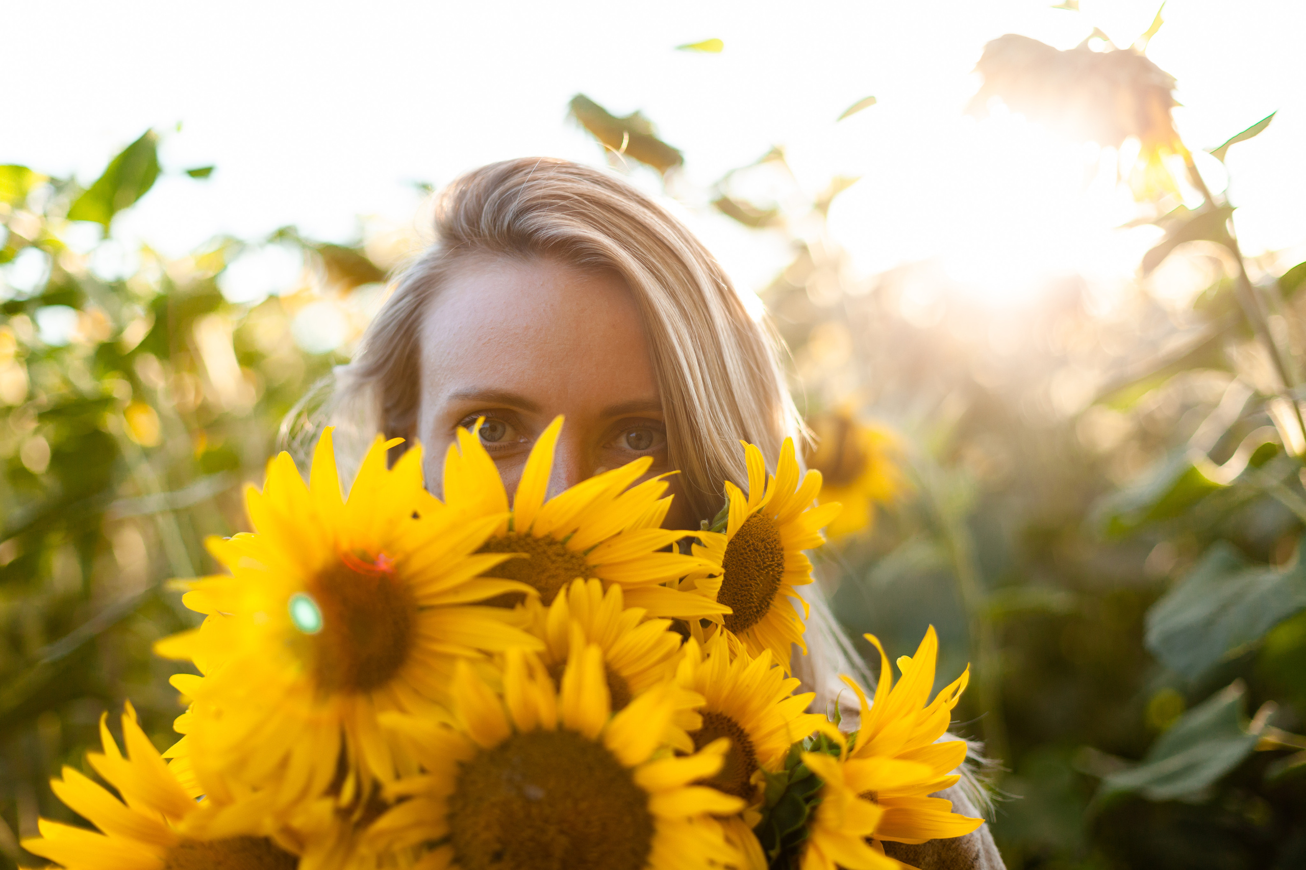 Коломна, стога и подсолнухи. Фотограф-анималист Татьяна Степанова