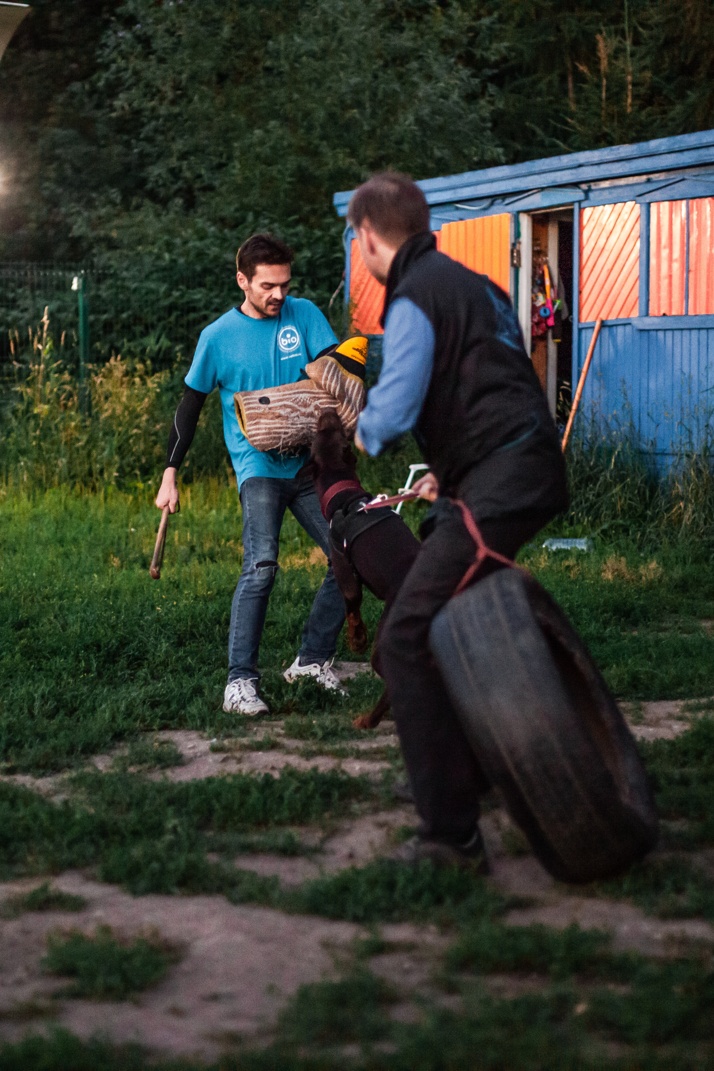 Занятие ЗКС+Выборка 2022. Фотограф-анималист Татьяна Степанова